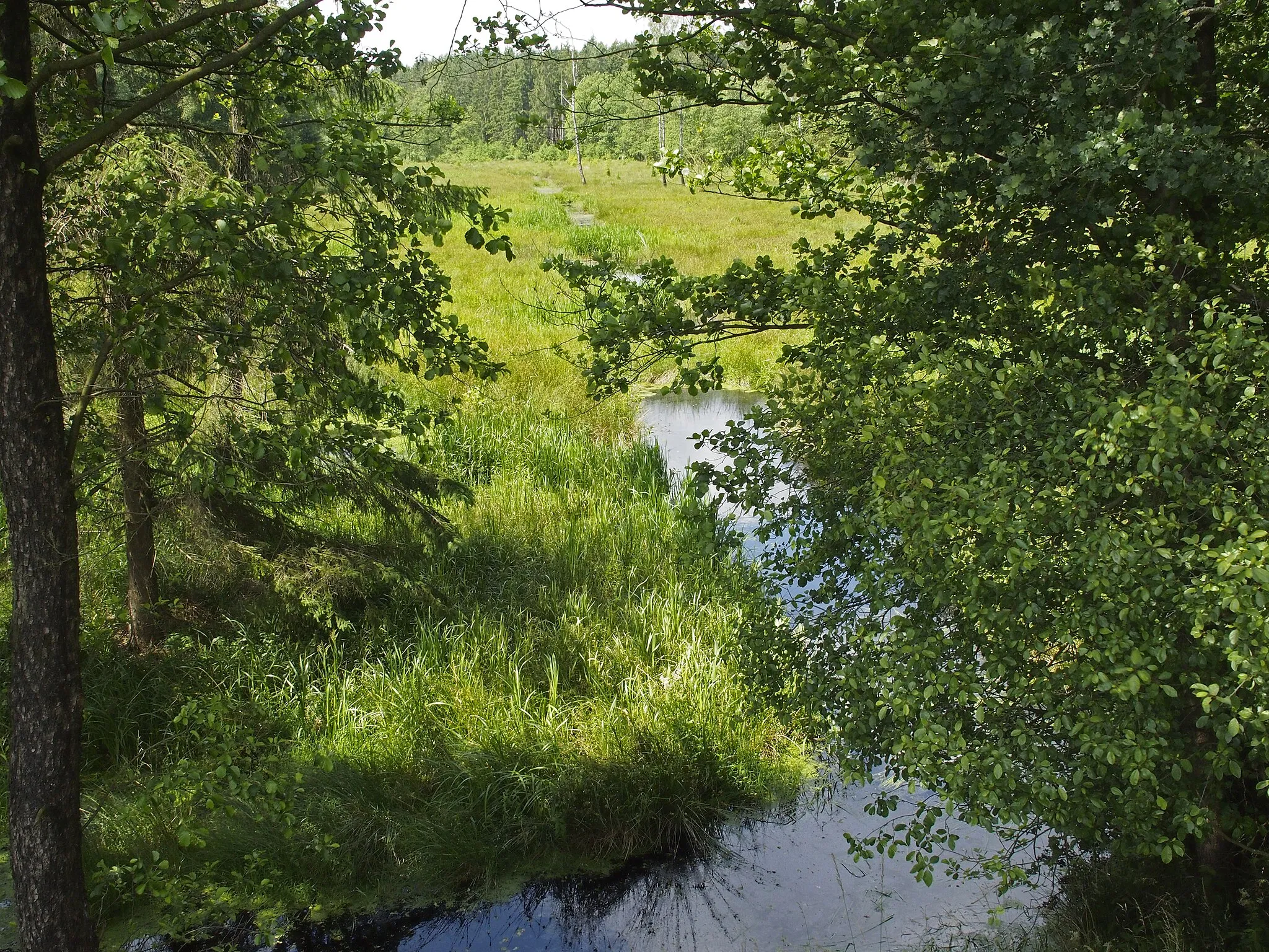 Photo showing: Quellgebiet der Lutter (Lachte) bei Eschede-Weyhausen (Germany)