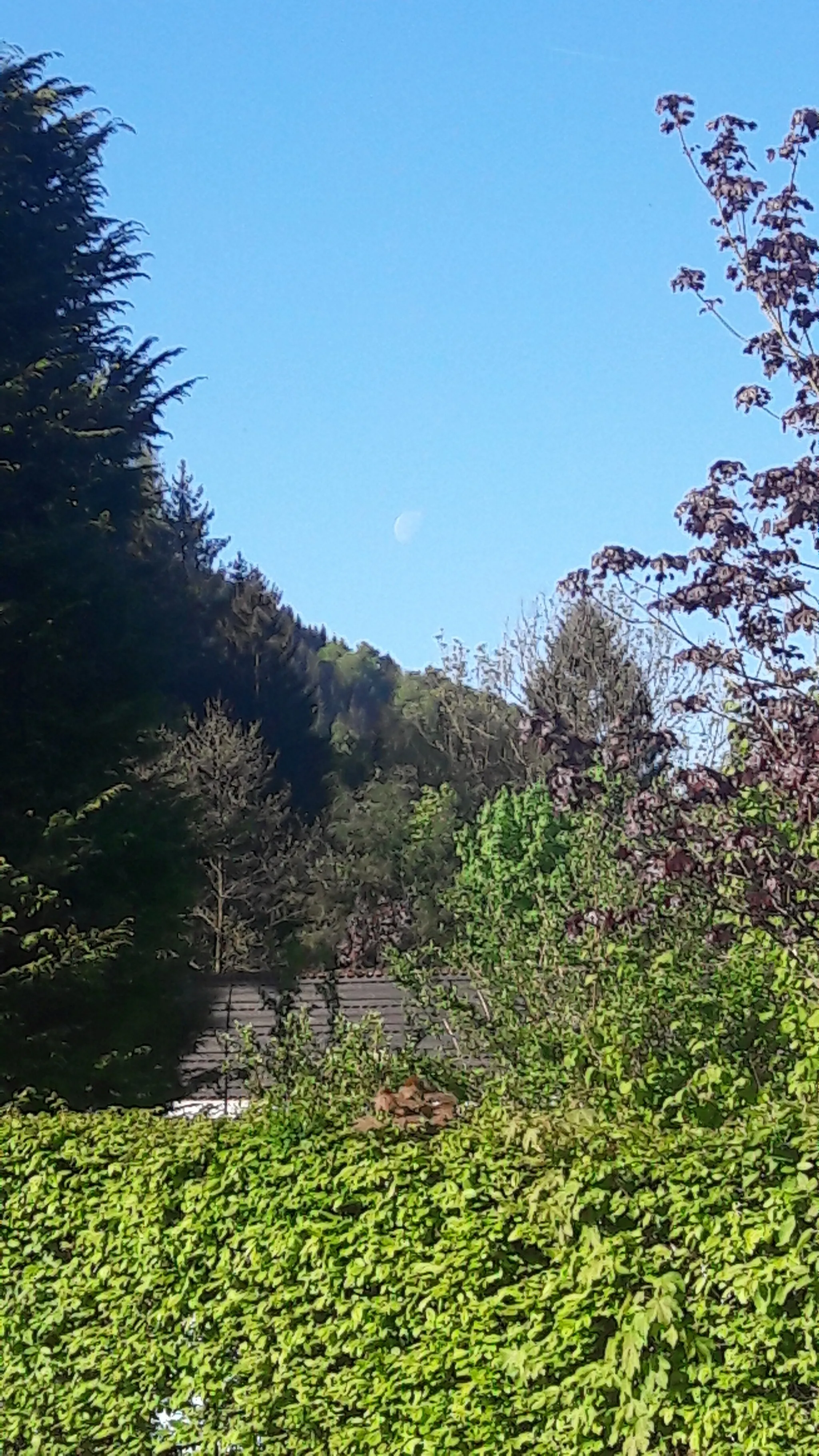 Photo showing: Freibad Sieber mit Mond