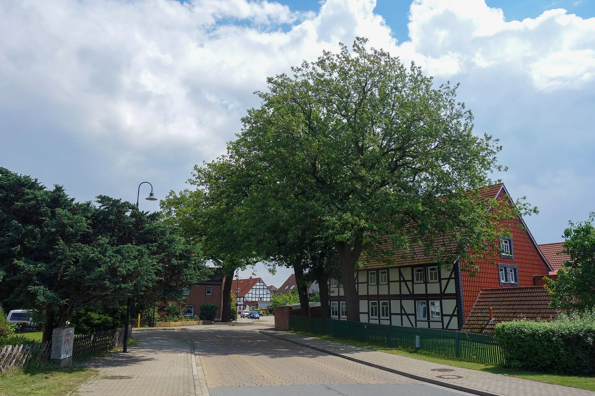 Photo showing: Salzgitter-Engelnstedt: Naturdenkmal "Viereichen" (ND SZ 00017). Hier die auf der Nordseite des Hagemannschen Hofes stehenden drei Eichen des Naturdenkmals. Die vierte Eiche dieses Denkmals, auch "Friedenseiche" genannt, steht neben der Einfahrt zu diesem Hof.