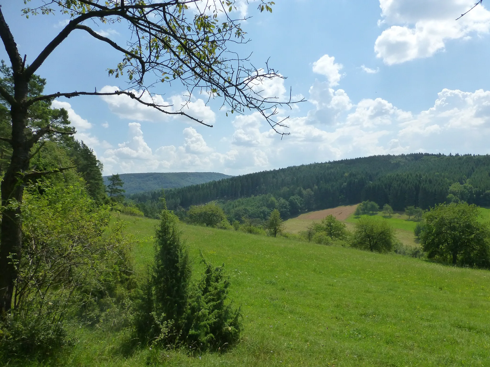 Photo showing: Aussicht vom Hasenwinkel über das Schierbachtal nach Südost (rechts Ausläufer des Höhberges und im Hintergrund der Stein)