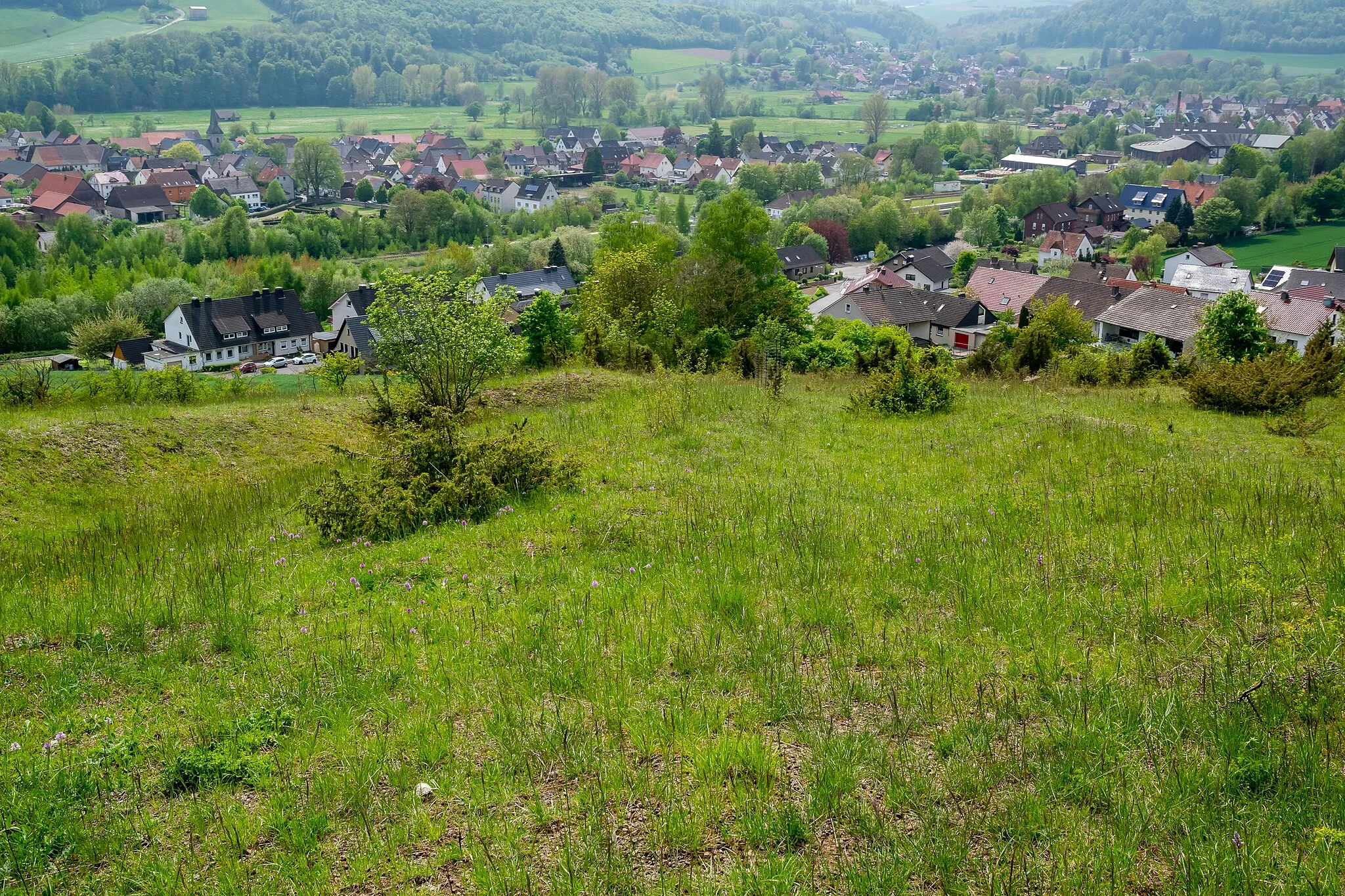 Photo showing: Naturschutzgebiet "Stockberg" in Höxter