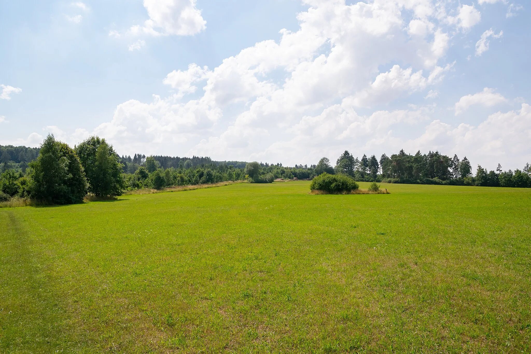 Photo showing: Naturschutzgebiet „Wandelnsberg“, Beverungen, Kreis Höxter