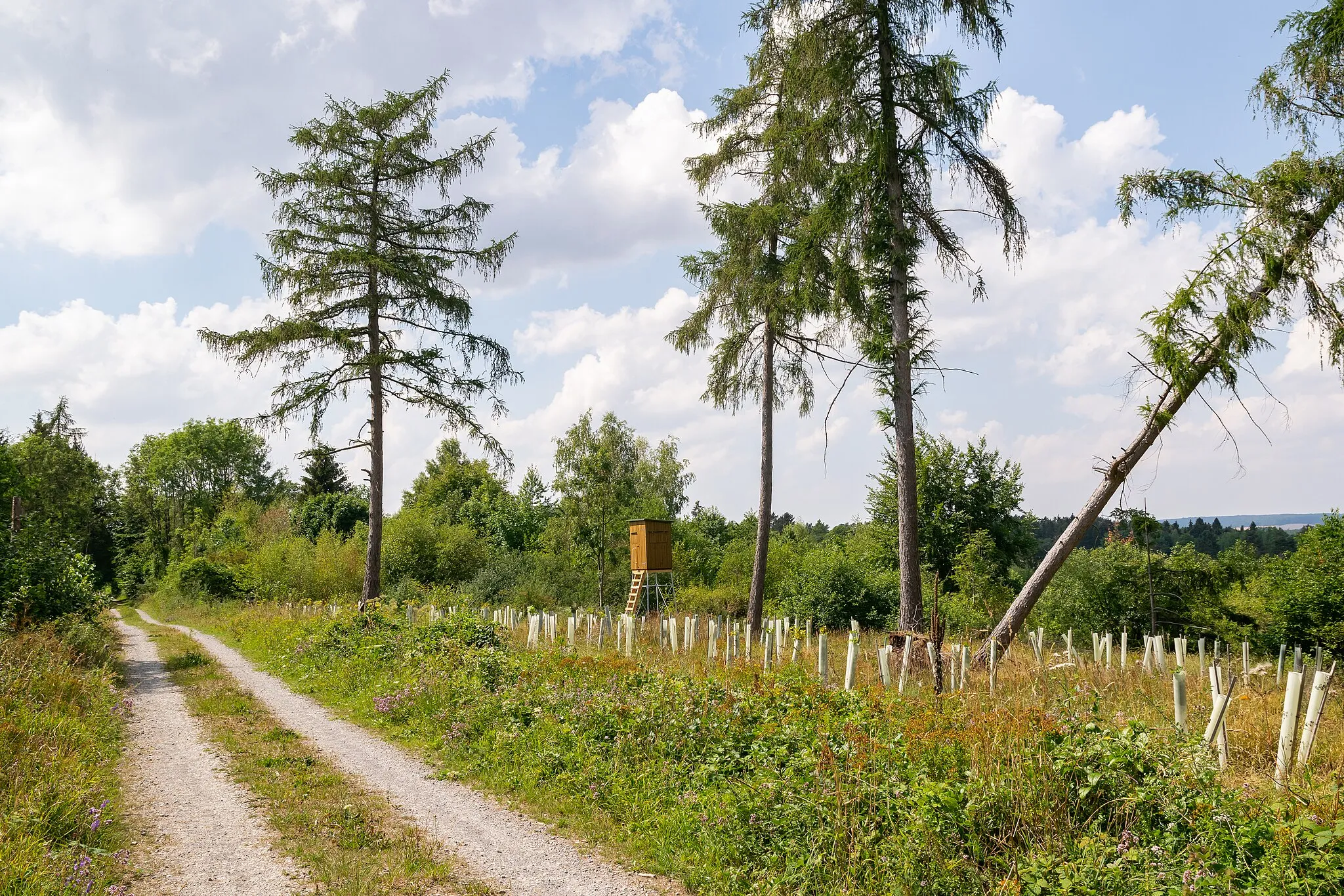 Photo showing: Galgenberg bei Beverungen