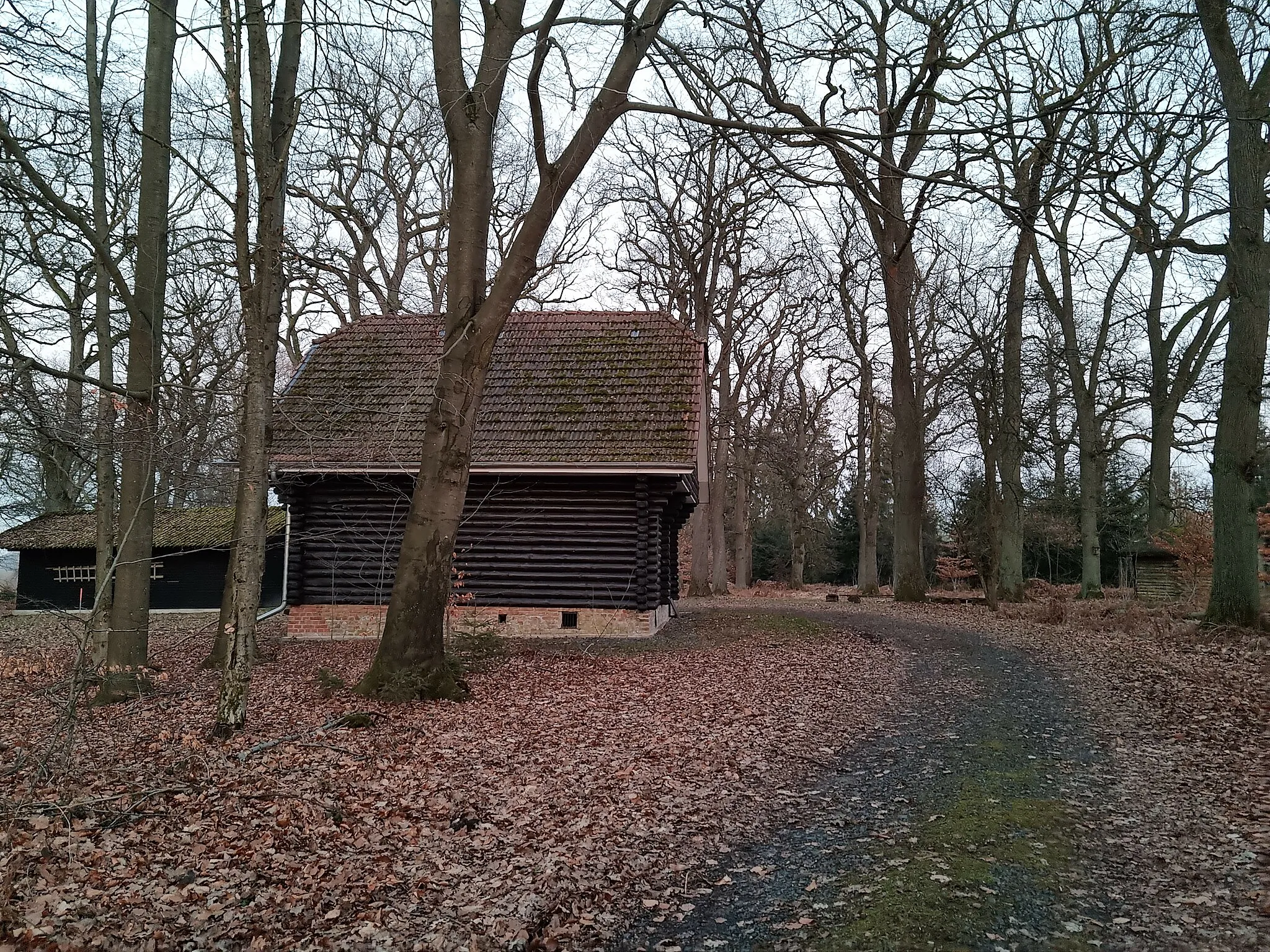 Photo showing: Hütte des Försters nahe der Kasseler Schneise