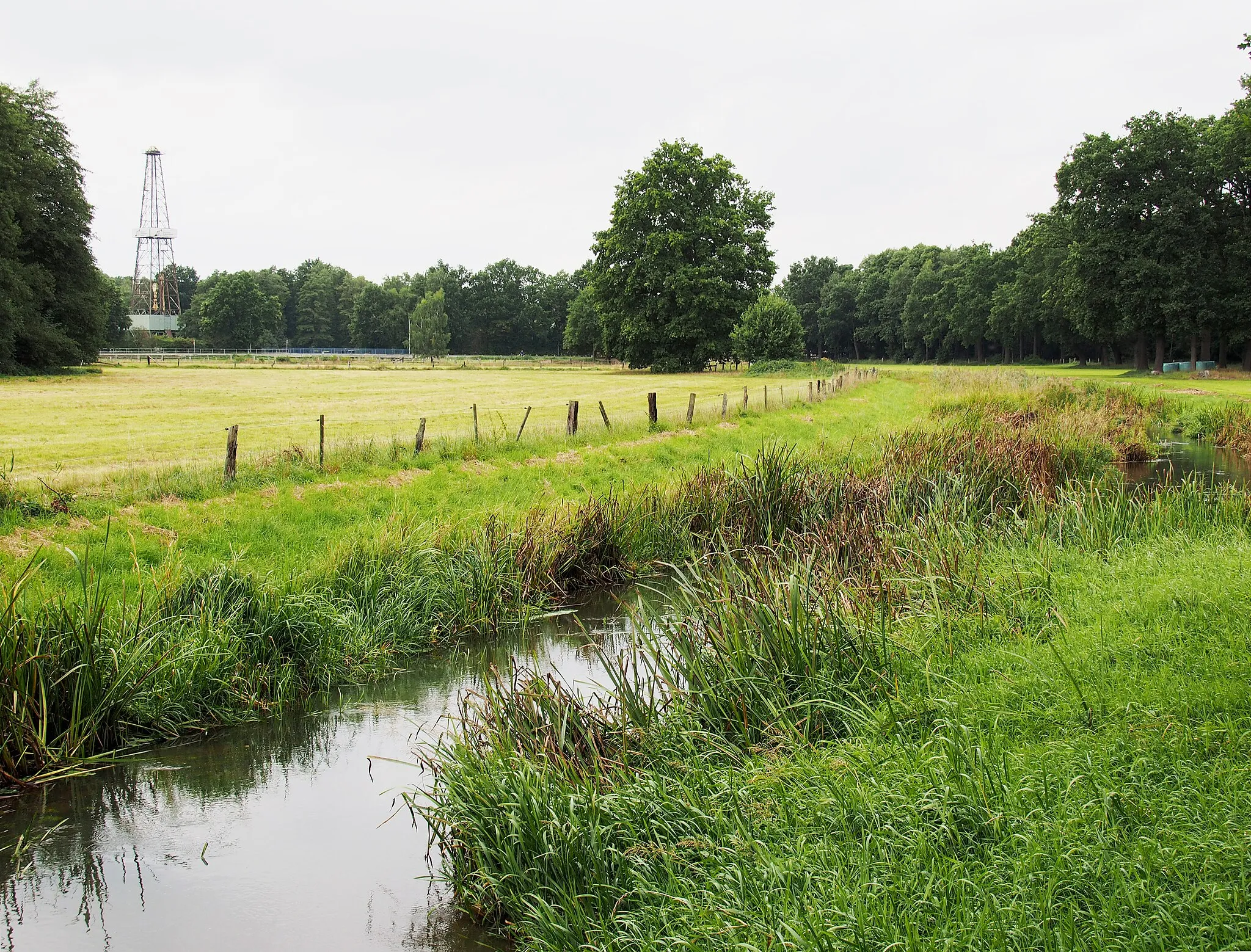 Photo showing: Verlauf der Wietze (Aller)  im Ort Wietze (Niedersachsen)