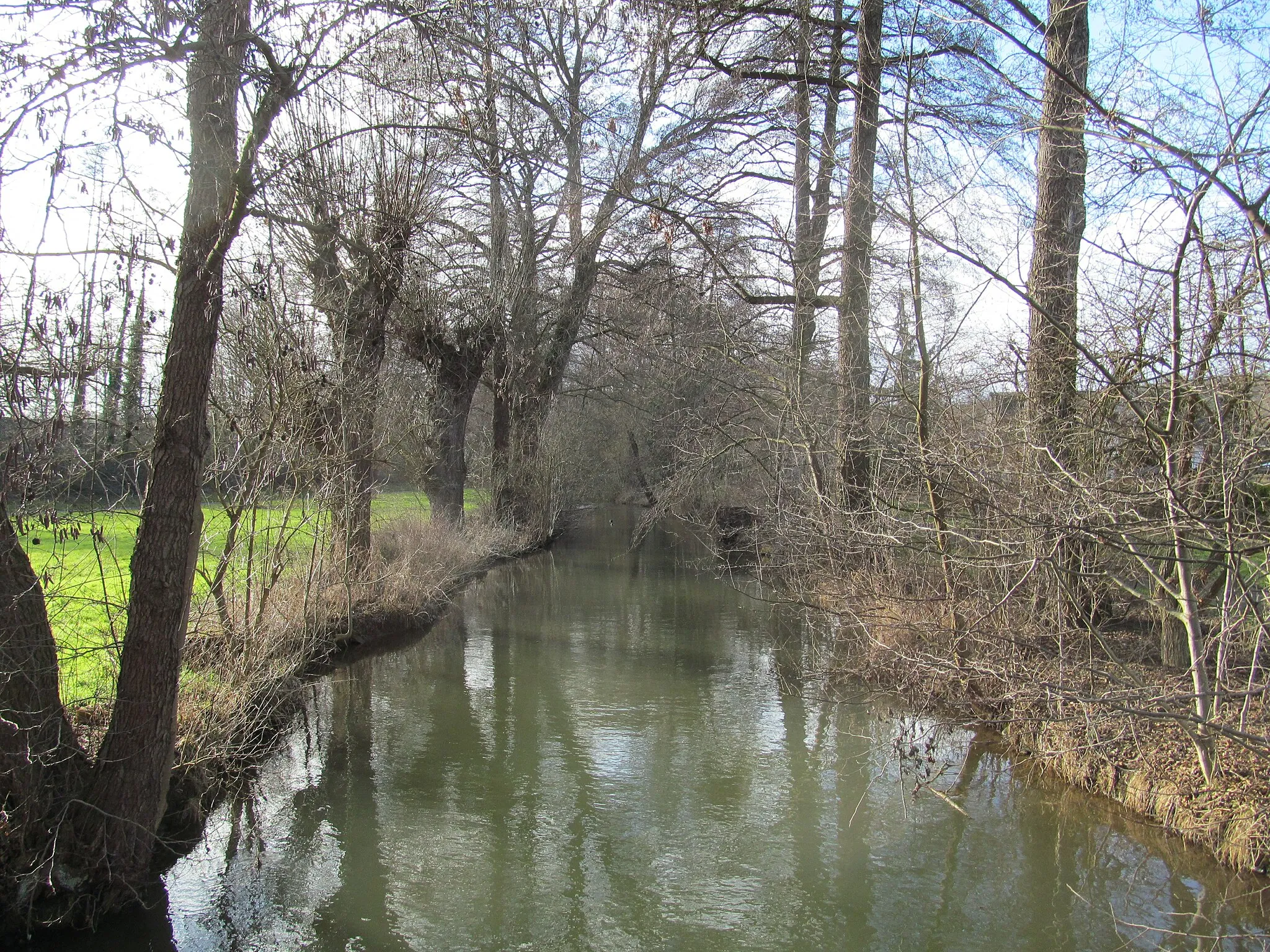 Photo showing: die Alte Wehre in Niederhone