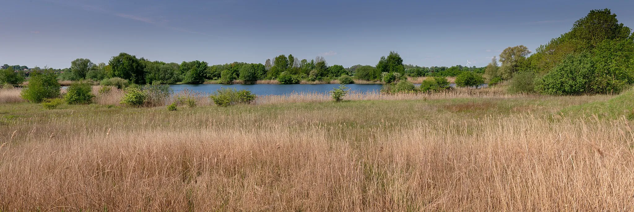 Photo showing: Die Wätzumer Tonkuhle, Naturschutzgebiet in der niedersächsischen Gemeinde Algermissen im Landkreis Hildesheim. Blick nach Westen.