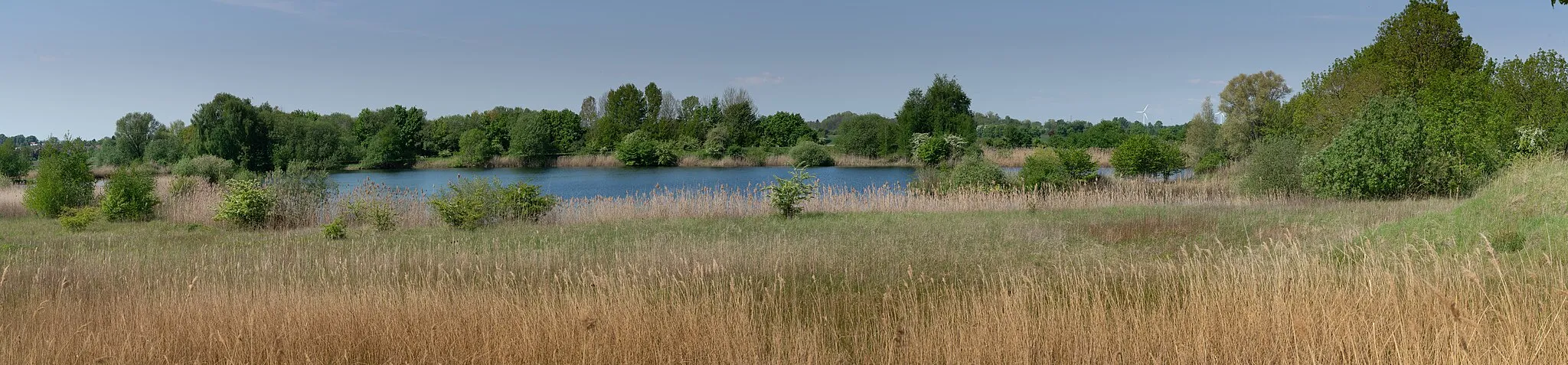 Photo showing: Die Wätzumer Tonkuhle, Naturschutzgebiet in der niedersächsischen Gemeinde Algermissen im Landkreis Hildesheim. Blick nach Westen.