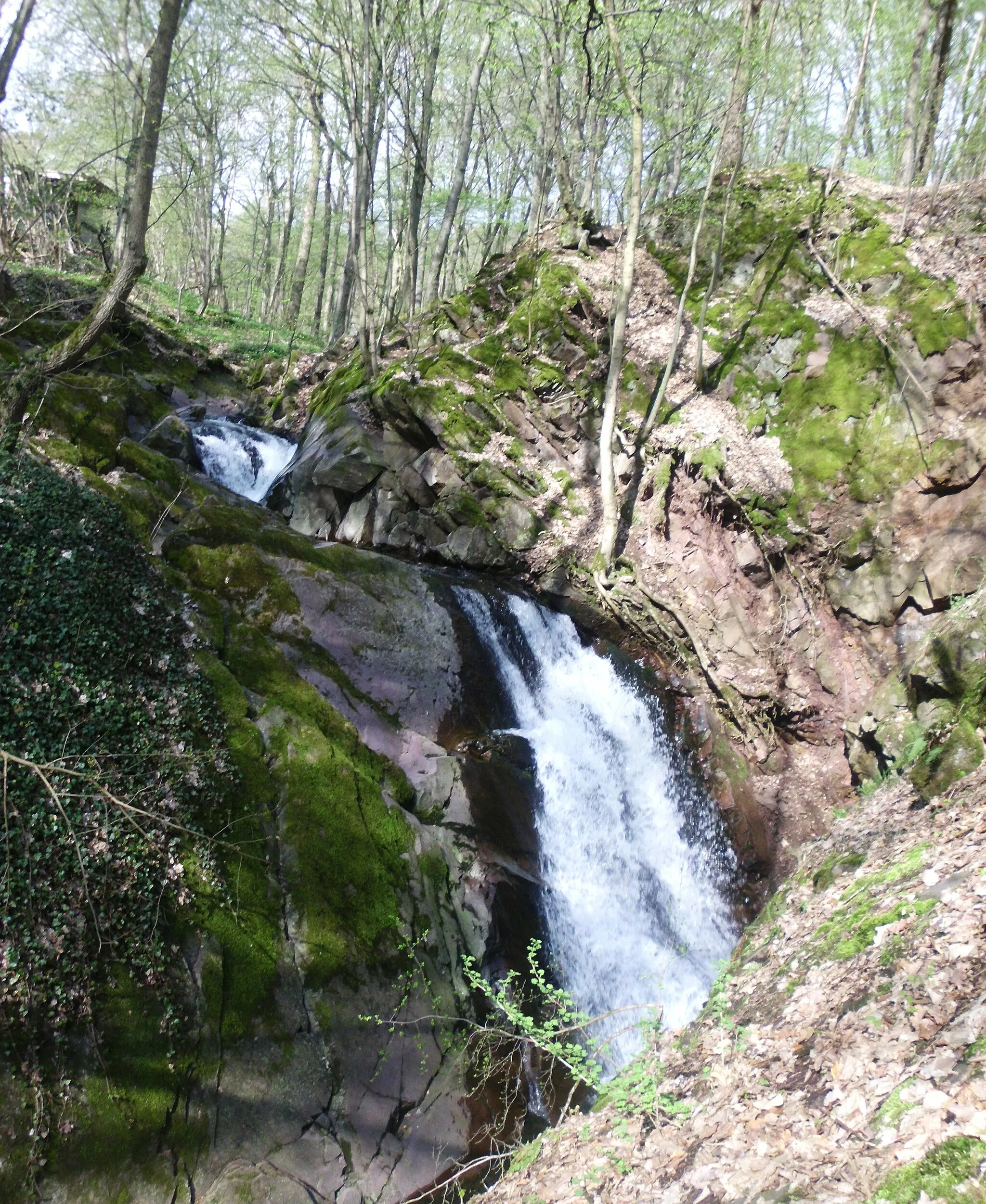 Photo showing: Lonauer Wasserfall bei Herzberg am Harz