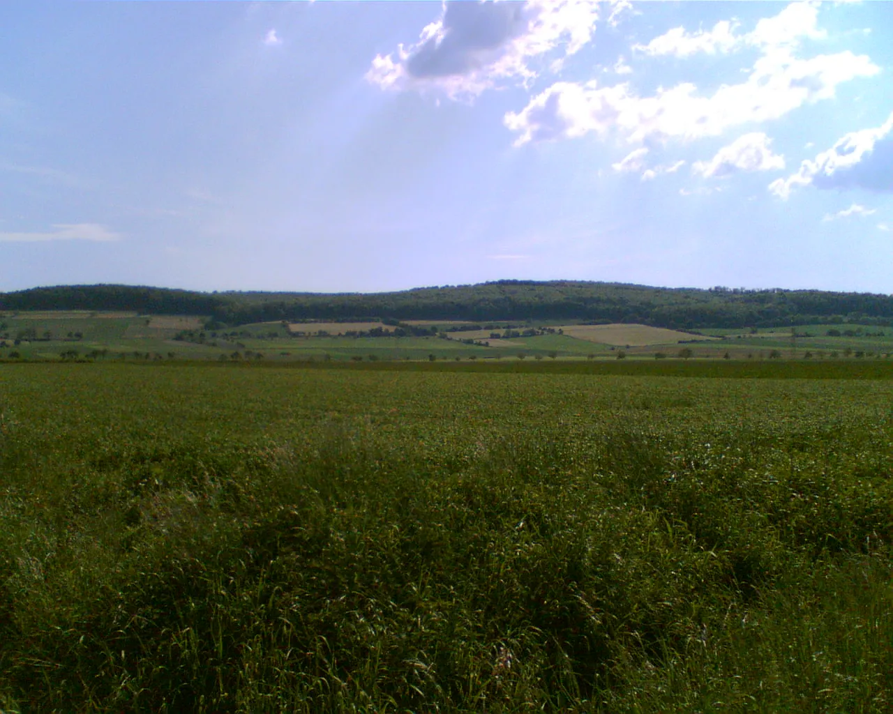 Photo showing: Höhenzug Ahlsburg, nordöstliche Seite