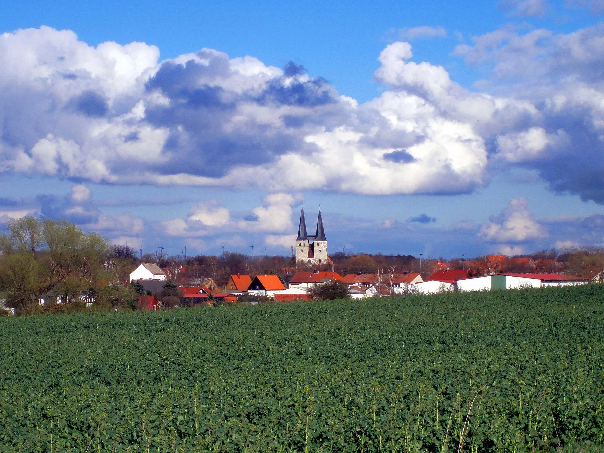 Photo showing: Blick auf Osterwieck, Sachsen-Anhalt, Deutschland