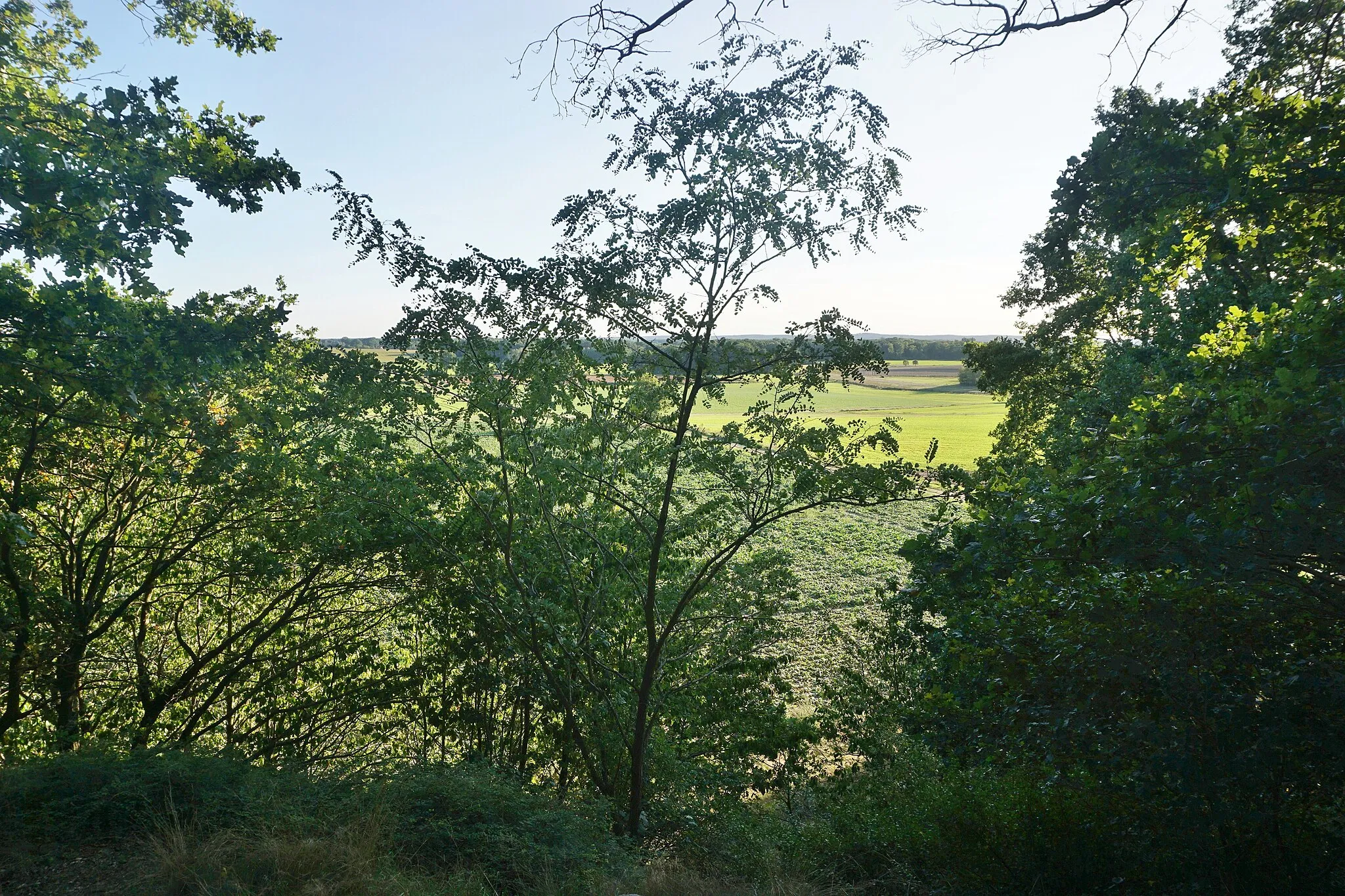 Photo showing: View from Ilkenberg in the municipality of Suhlendorf.