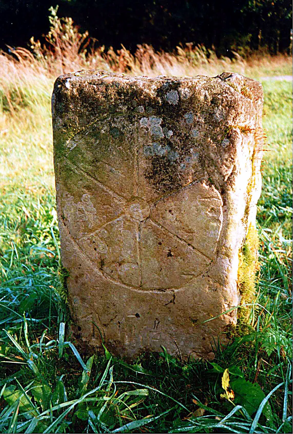 Photo showing: Kurmainzer Grenzstein (am Flurstück "Weißer Stein")