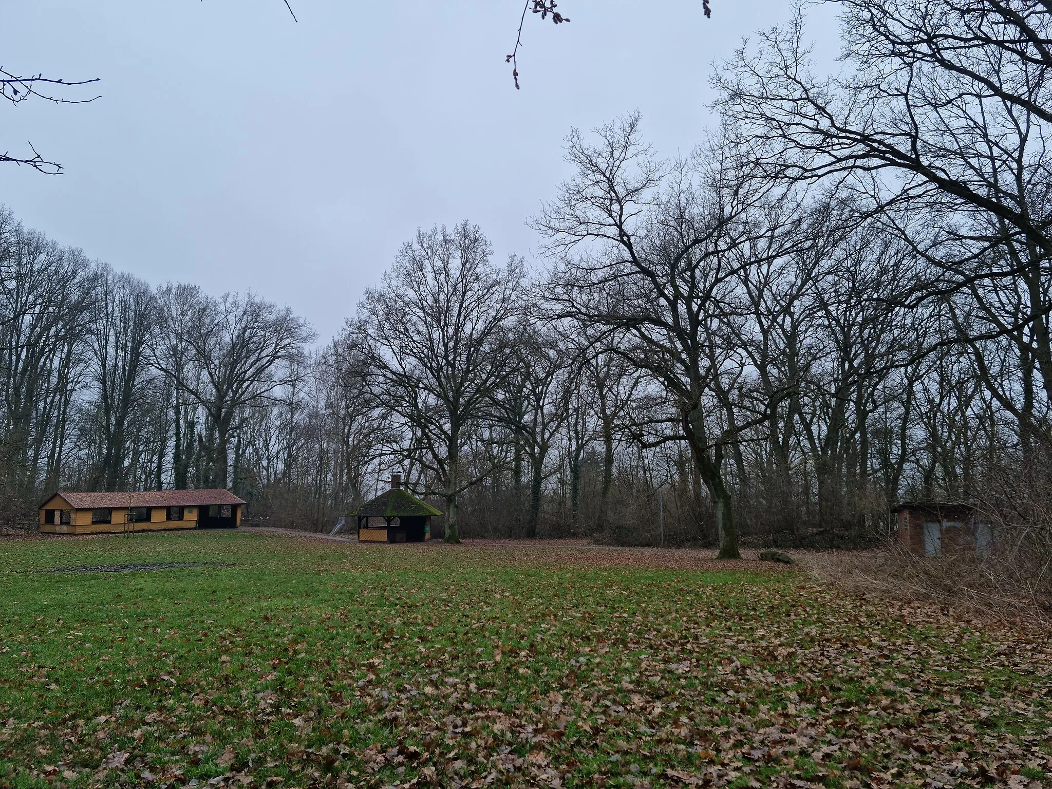 Photo showing: Picknickplatz Großes Loh