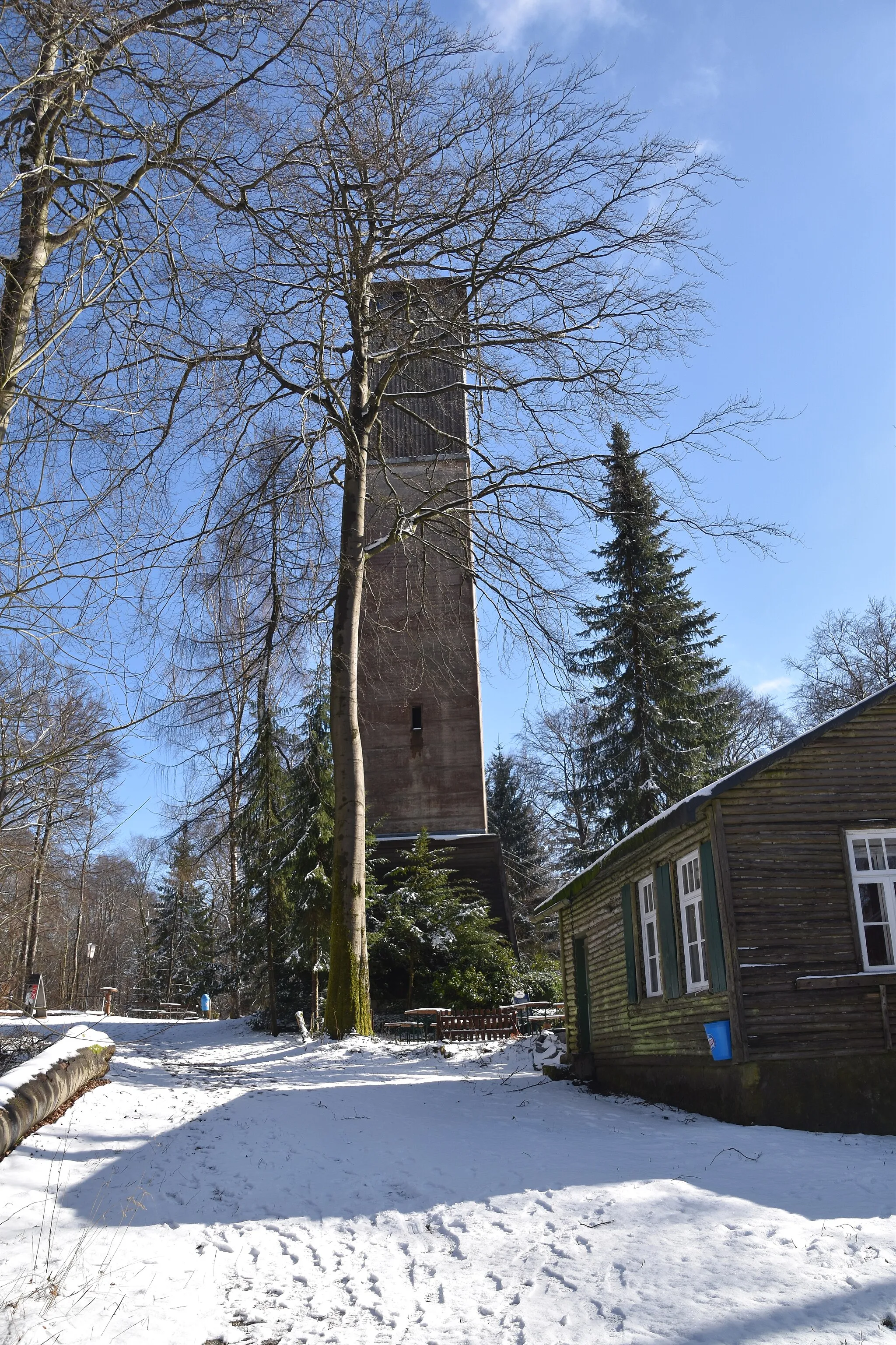 Photo showing: Iberger Albertturm im Winter