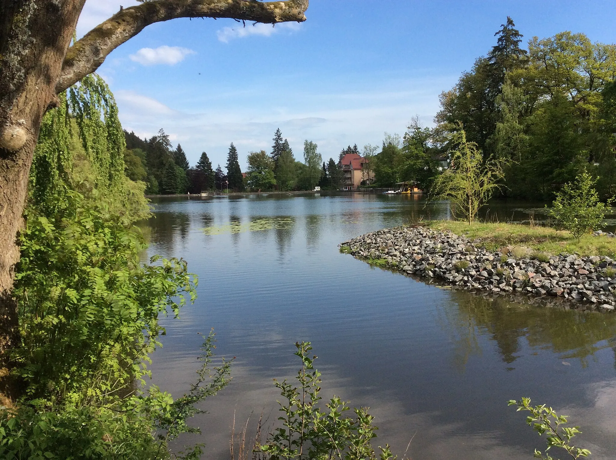 Photo showing: Schmelzteich Bad Sachsa