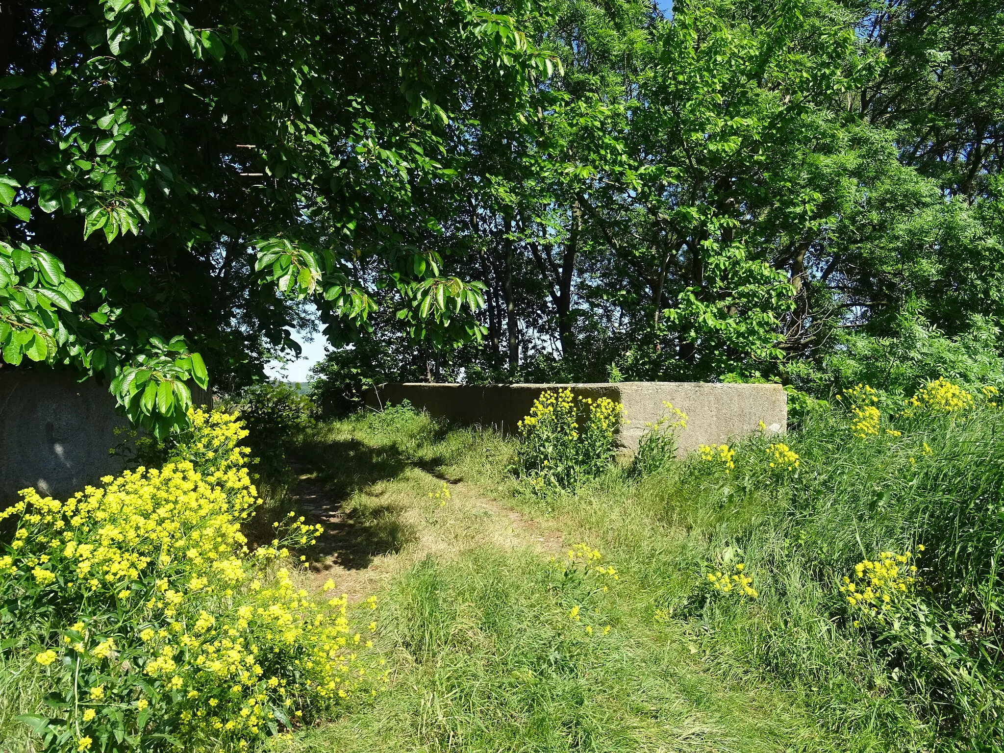 Photo showing: Wegbrücke über die Eisenbahn bei  Dardesheim