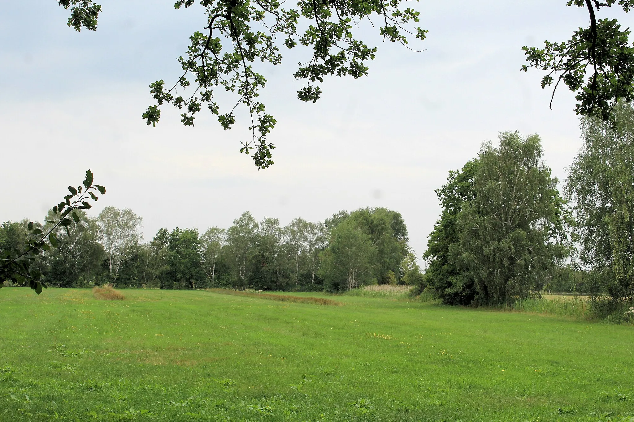 Photo showing: Wenze (Klötze), landscape of NP Drömling