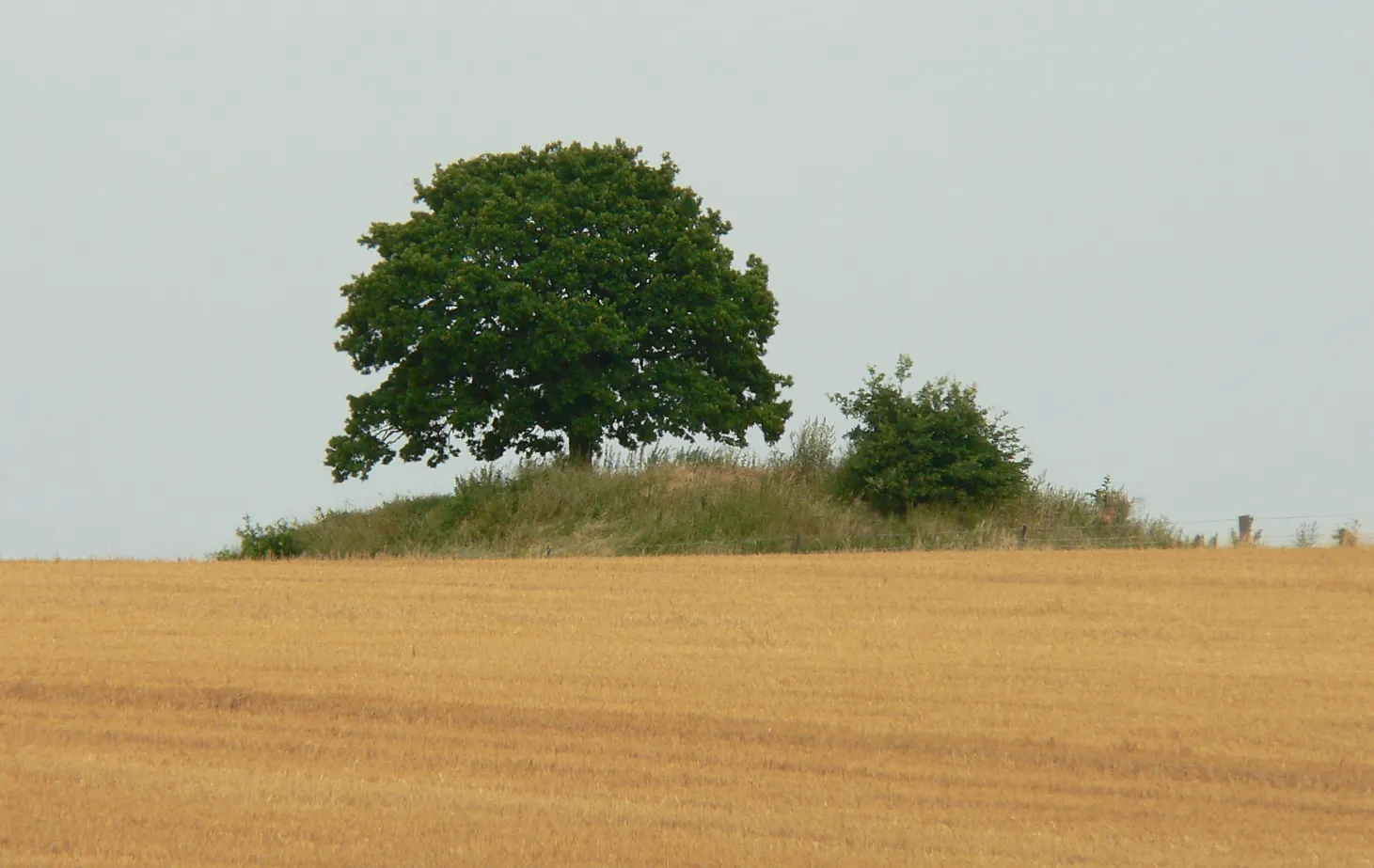 Photo showing: Galgenberg in Klein Vahlberg