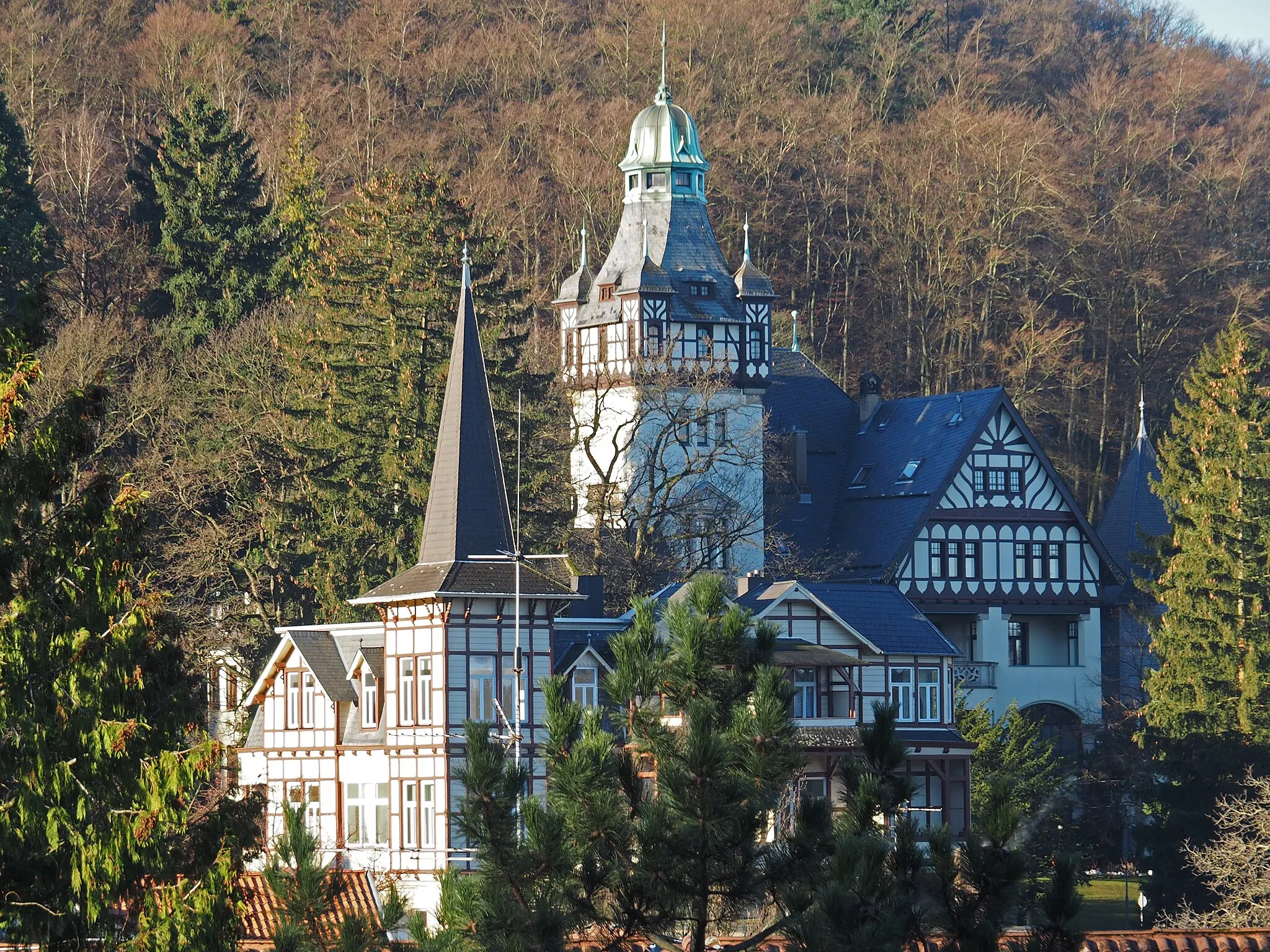 Photo showing: Niedersächsisches Internatsgymnasium, Bad Harzburg