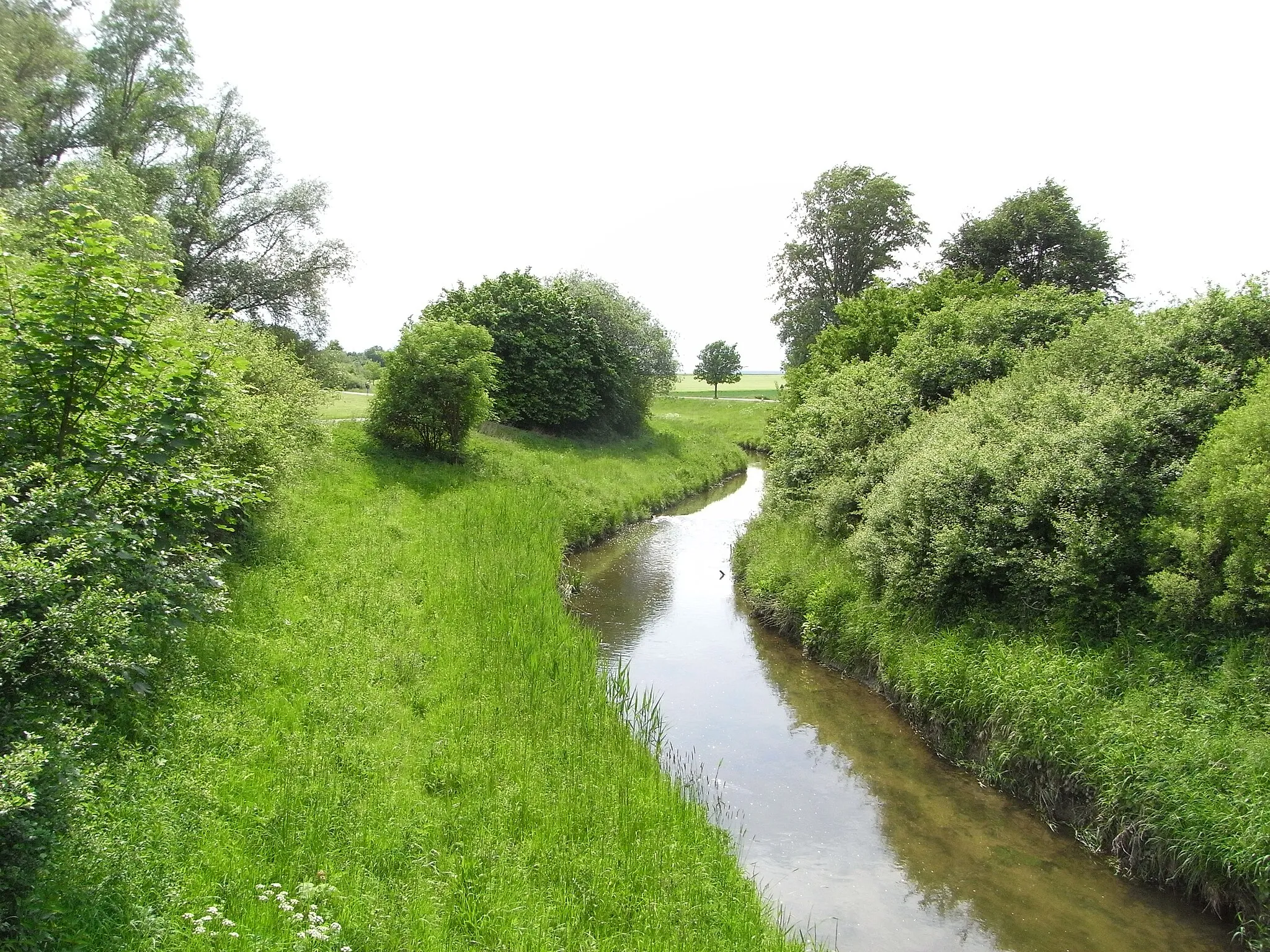 Photo showing: River Fuhse at Salzgitter, Lower Saxony state, Germany