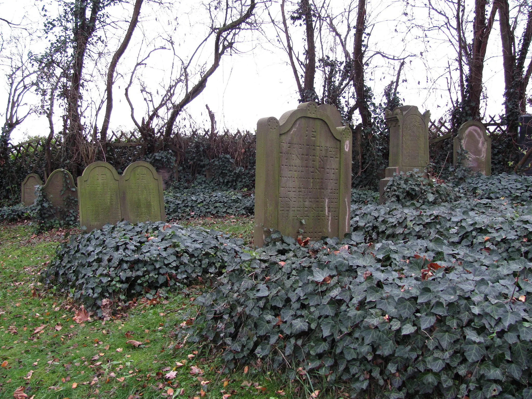 Photo showing: Former Jewish Cemetery in Dassel, Germany.