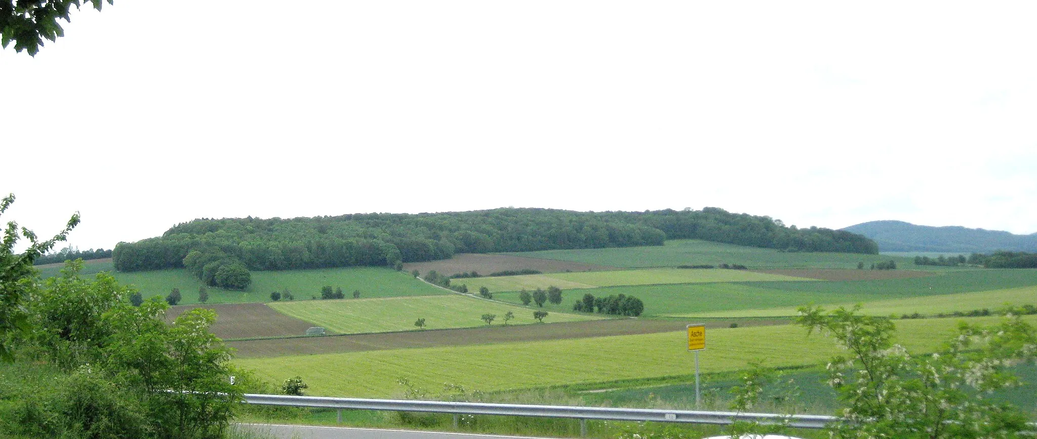 Photo showing: Der Lindenberg liegt etwas über 1,5 km südlich von Asche (Ortsteil von Hardegsen). Die Bergkuppe gehört überwiegend zum Gebiet von Adelebsen. Standort beim Fotografieren war der westliche Ortsausgang von Asche. Der Berg liegt im Landschaftsschutzgebiet „Weserbergland–Kaufunger Wald“ (LSG GÖ 00015) und im Naturpark Münden.