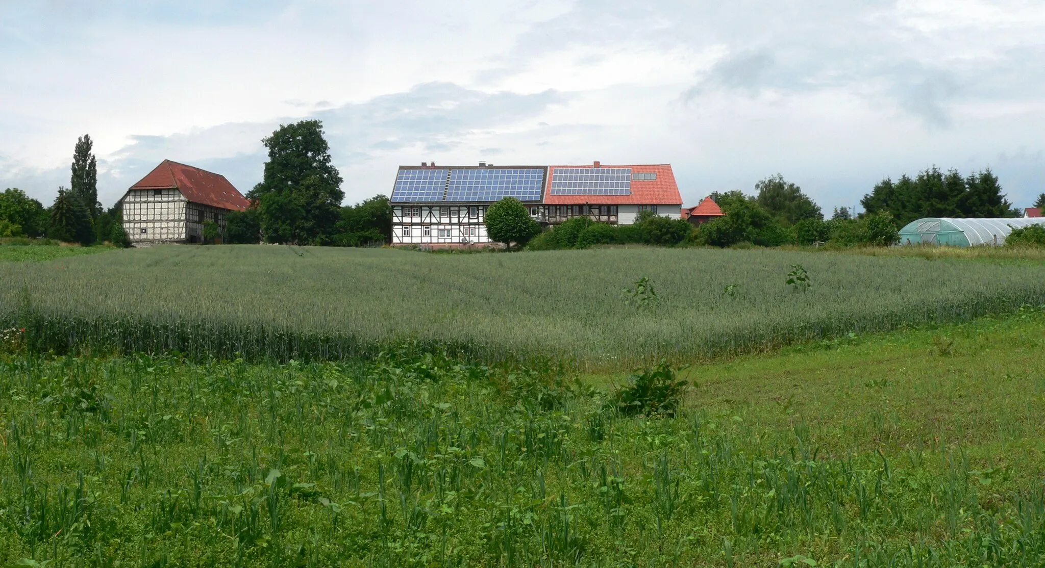 Photo showing: Ausgrabungsstelle in Düna am Harz