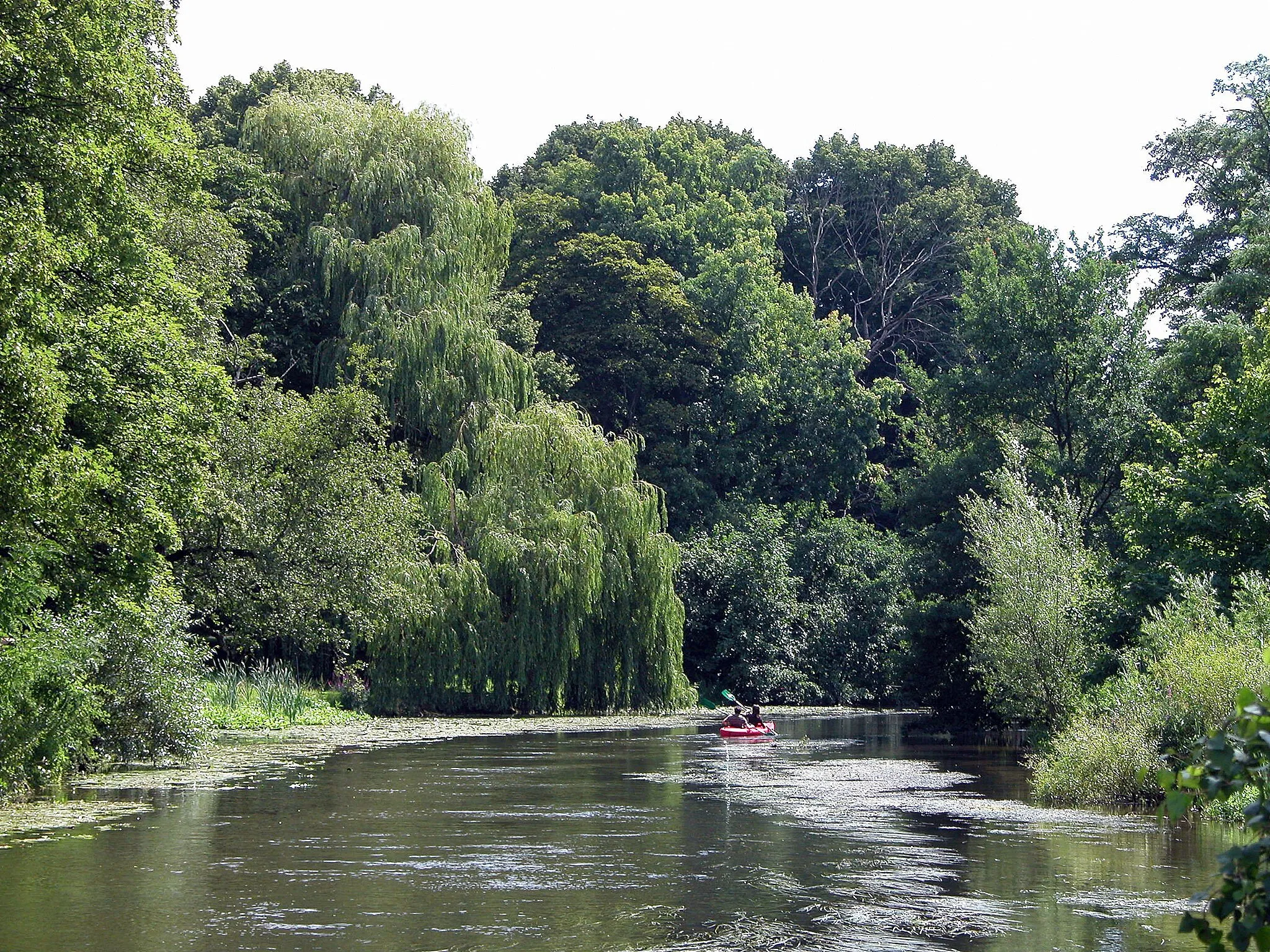 Photo showing: Braunschweig, Germany: Oker river running through Bürgerpark (Citizens’ Park).
