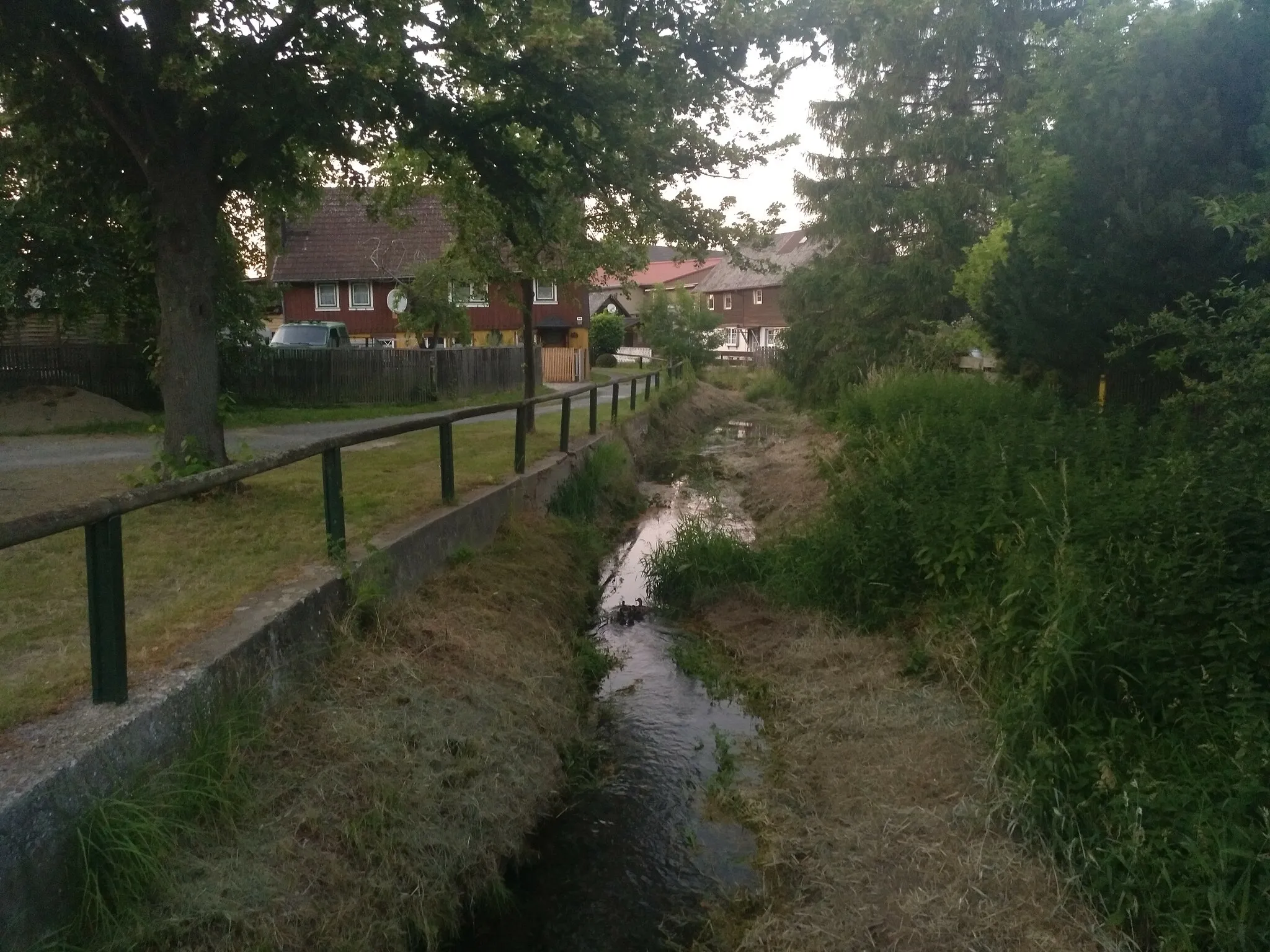 Photo showing: Die Schamlah mit einer Entenschule in Lochtenscher Ortslage, die Abbenröder Straße unterfließend, 26. Juni 2019.