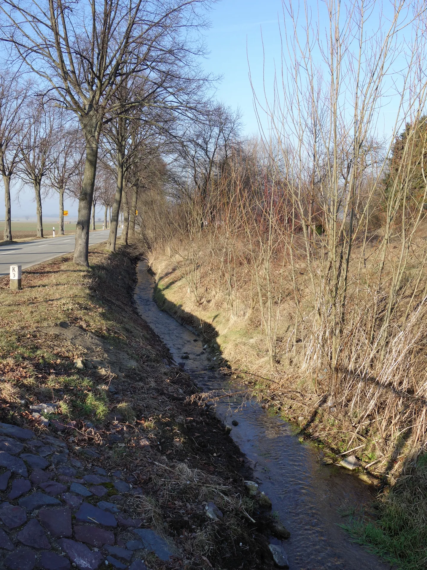 Photo showing: Oberlauf der Scheppau in Bornum am Elm, Blickrichtung Norden.