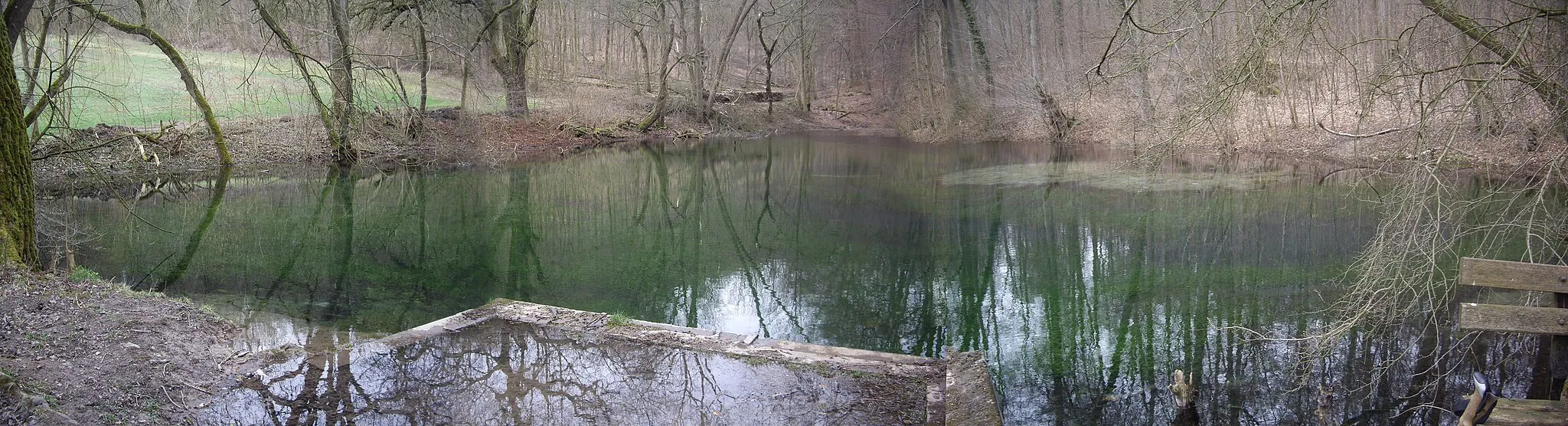 Photo showing: Eselsteich bei Hunnesrück, Blick von Osten. Foto: F. Welter-Schultes