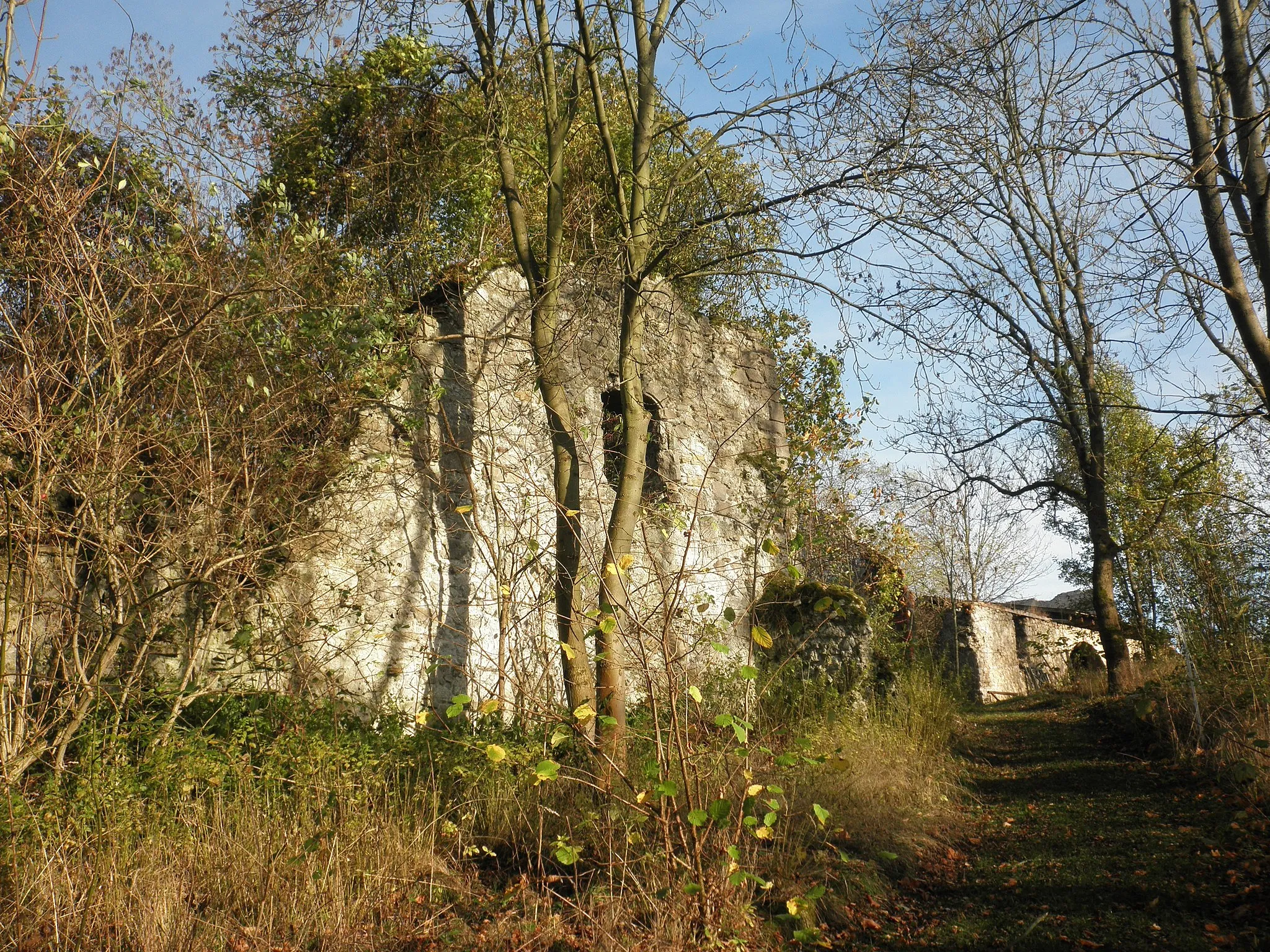 Photo showing: Castle Ruins in Klettenberg (Hohenstein) in Thuringia