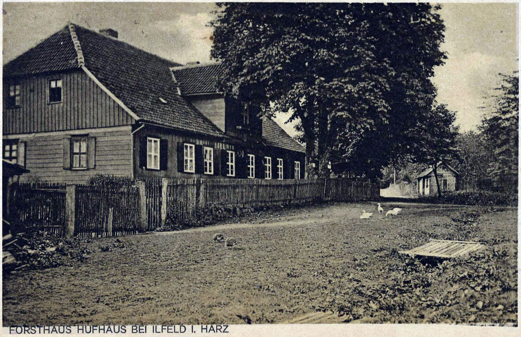 Photo showing: Ilfeld, Thüringen: Forsthaus Hufhaus, Postkarte