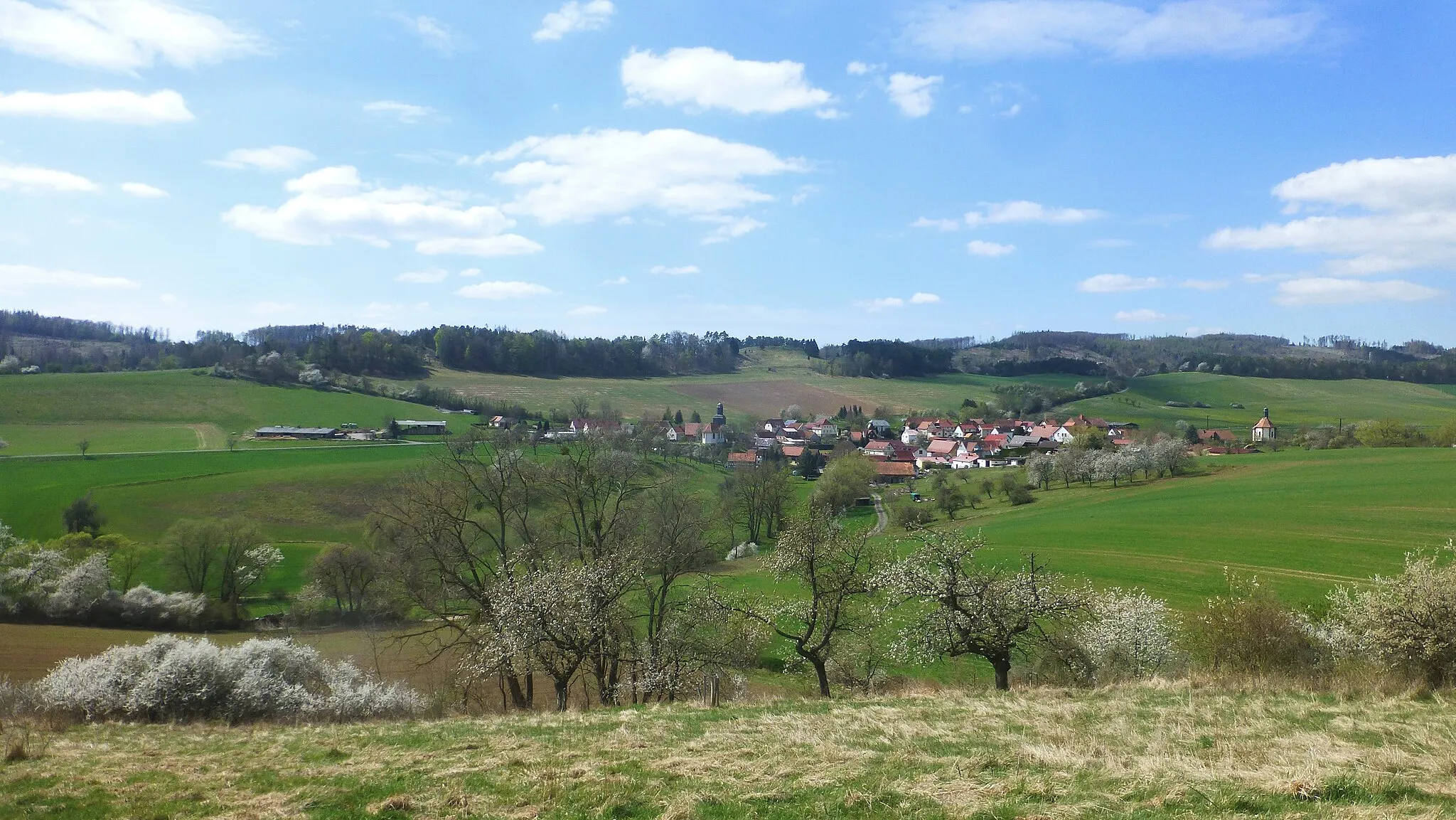 Photo showing: Ortsansicht (Panoramabild) über Fretterode, dahinter der Hasenwinkel und rechts der Höheberg