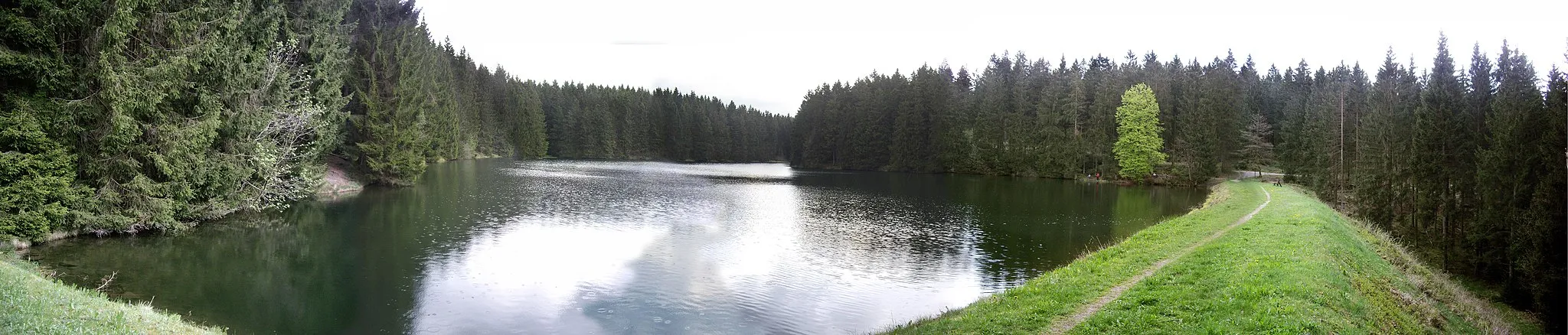 Photo showing: Haderbacher Teich bei Buntenbock im Harz, Blick vom Staudamm.