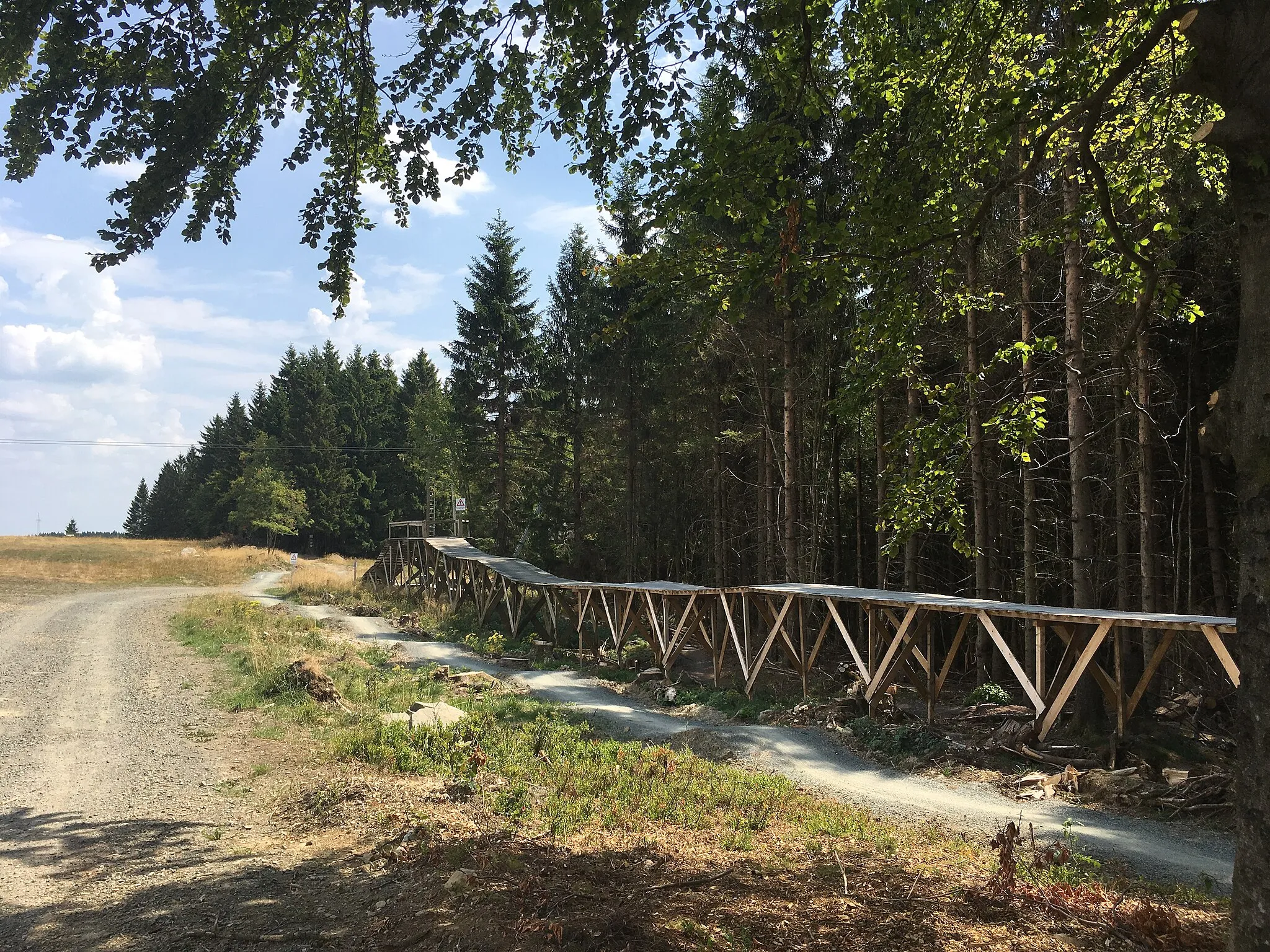 Photo showing: Allererster (und einziger waagerechter) Streckenabschnitt der Trails 1,2 und 3 des Bike-Parks am Matthias-Schmidt-Berg, Trail 3 verläuft auf dem North-Shore-Trail.