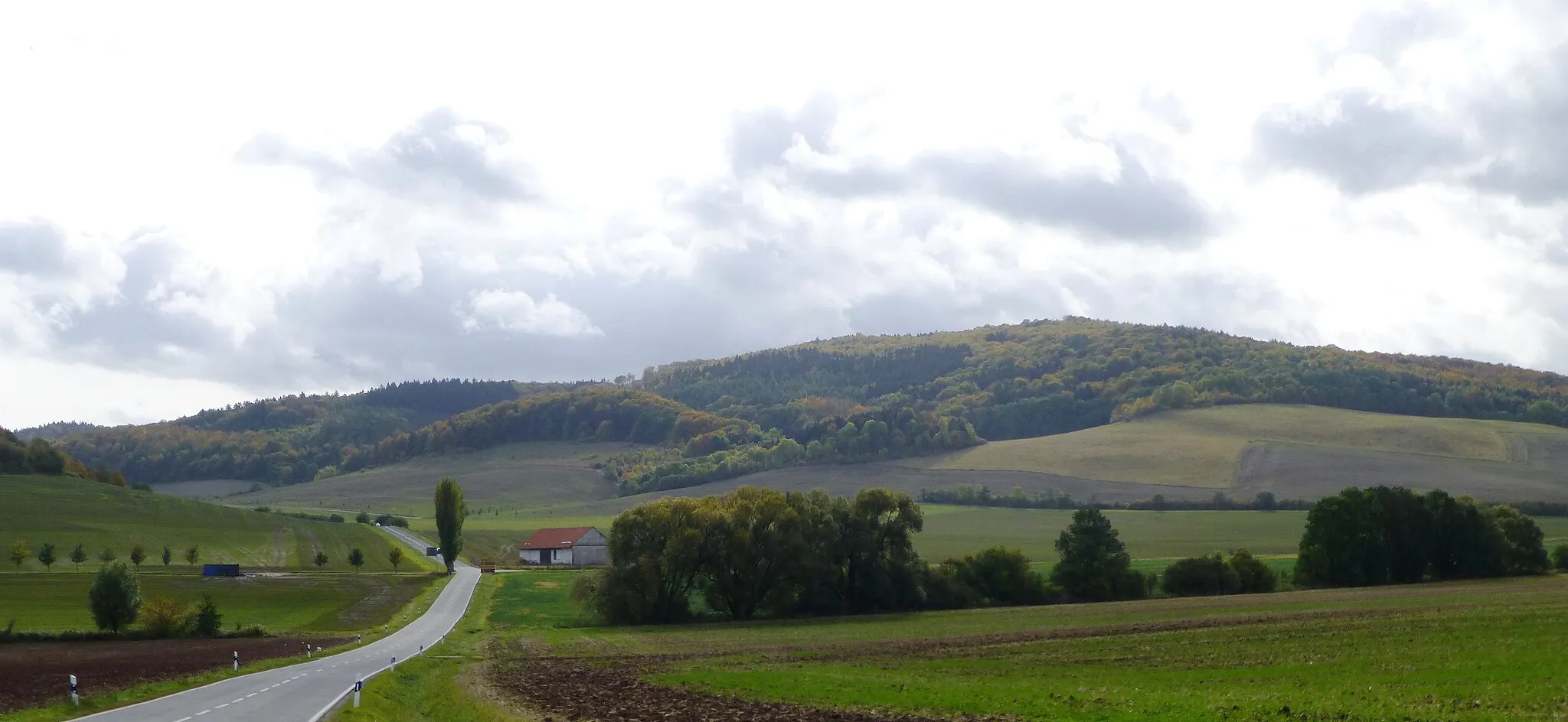 Photo showing: Blick von Norden auf die Junkerkuppe bei Bornhagen, Eichsfeld