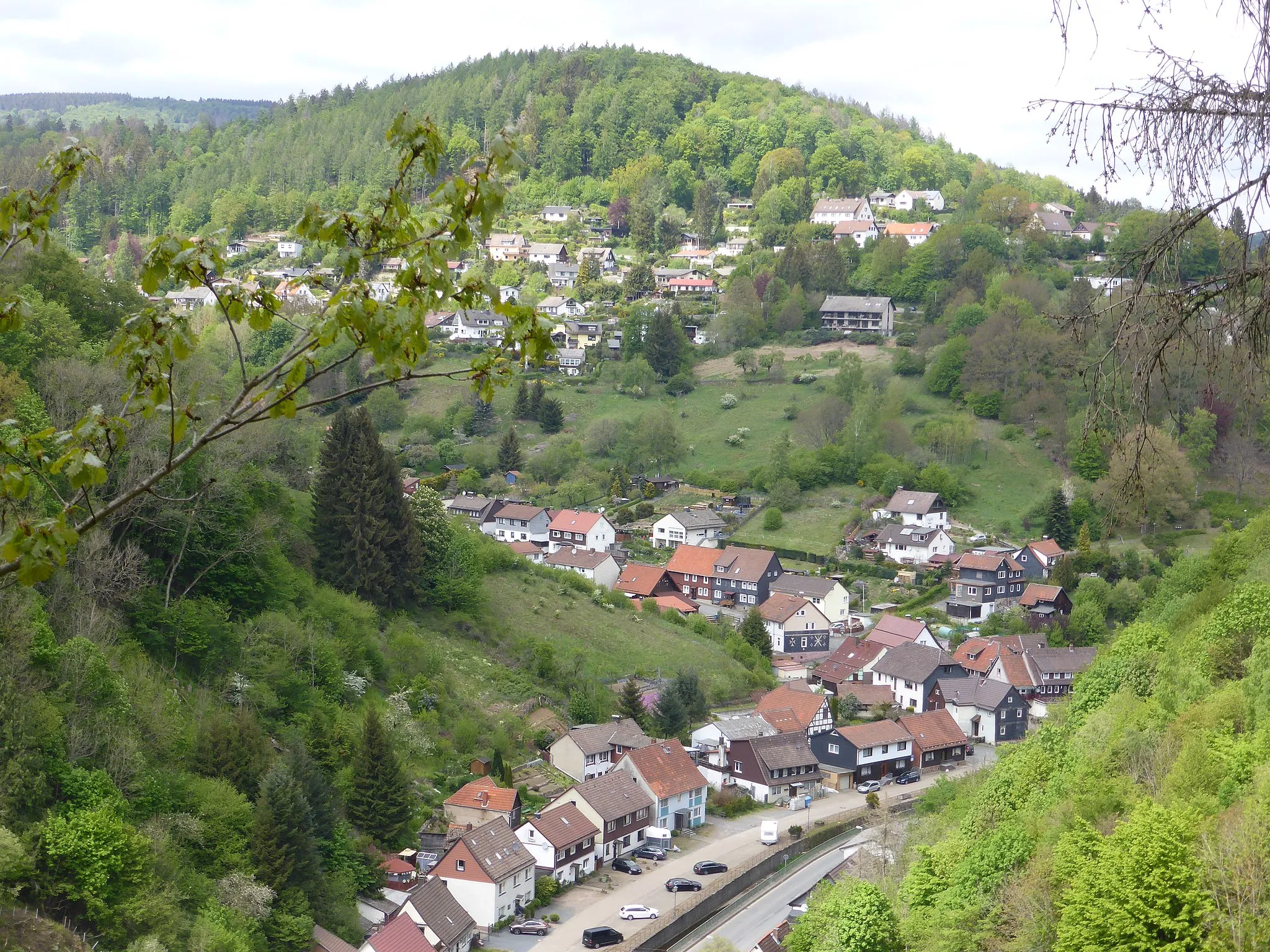 Photo showing: Der Ort Wieda im Harz mit dem Jagdkopf im Hintergrund