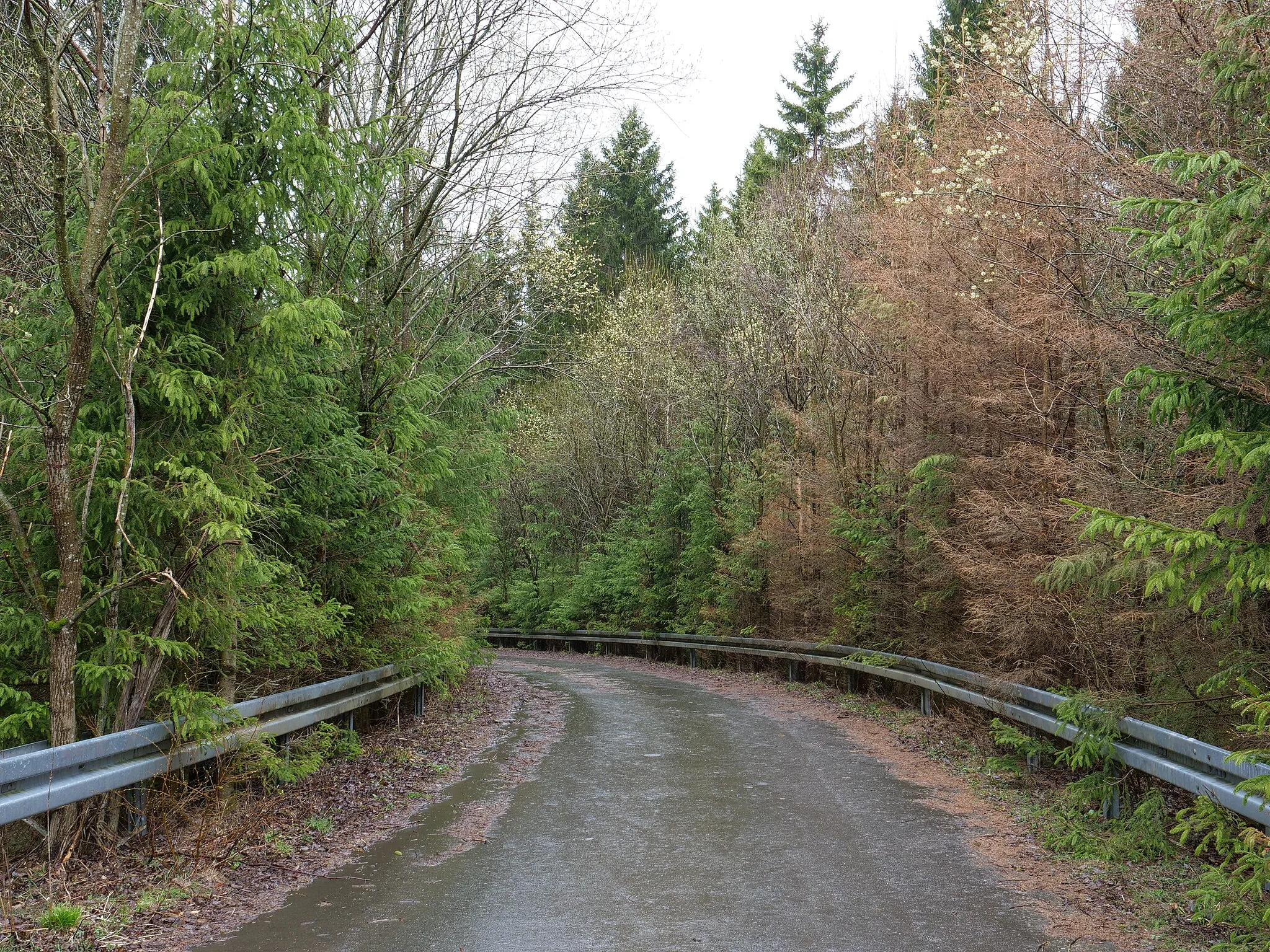 Photo showing: Weg mit Brücke über die B4 bei Braunlage.