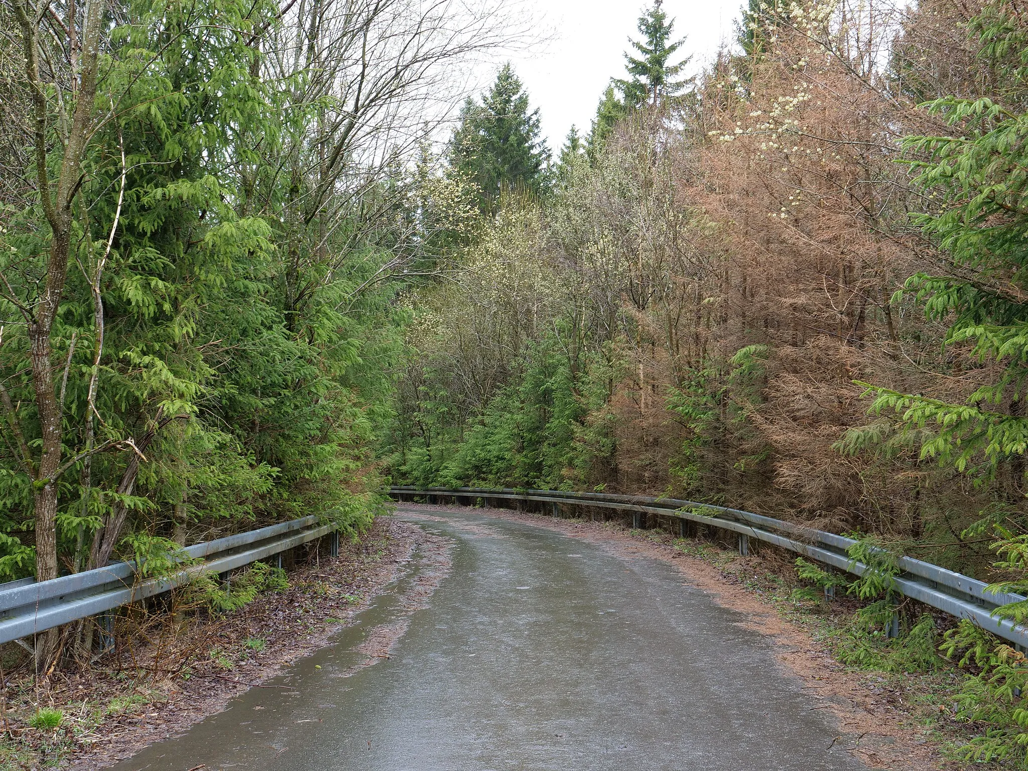 Photo showing: Weg mit Brücke über die B4 bei Braunlage.