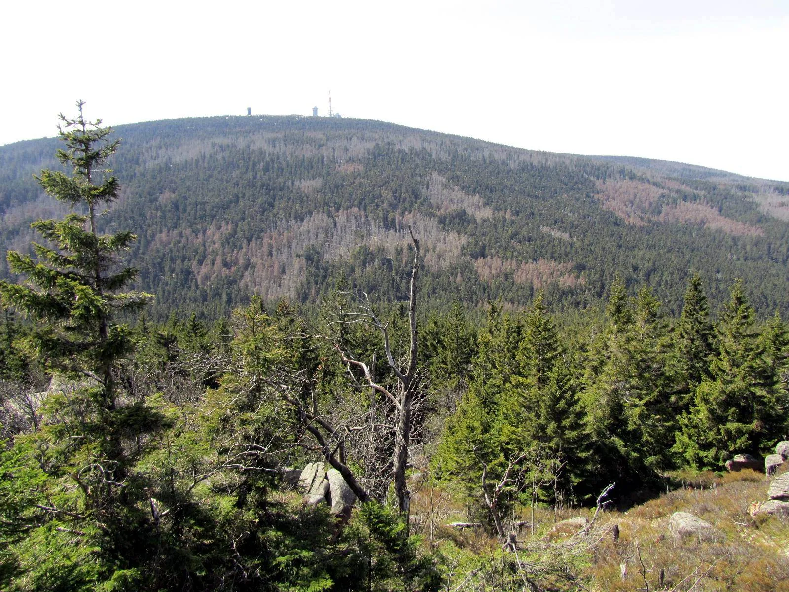 Photo showing: Germany / Nationalpark Harz /  peak "obere Zeterklippe": view to Mountain Brocken