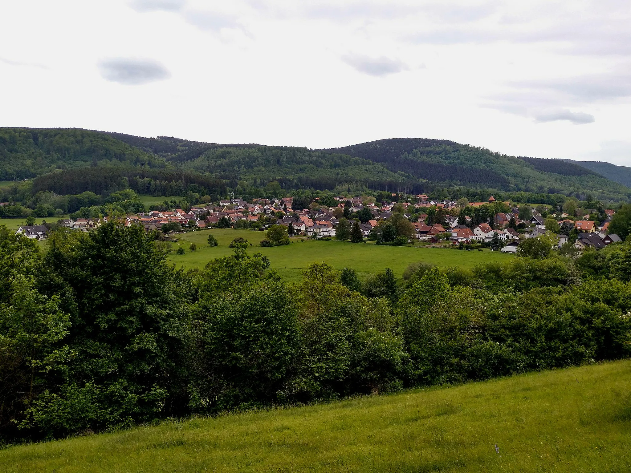 Photo showing: Göttingerode vom NSG Östlicher Langenberg aus