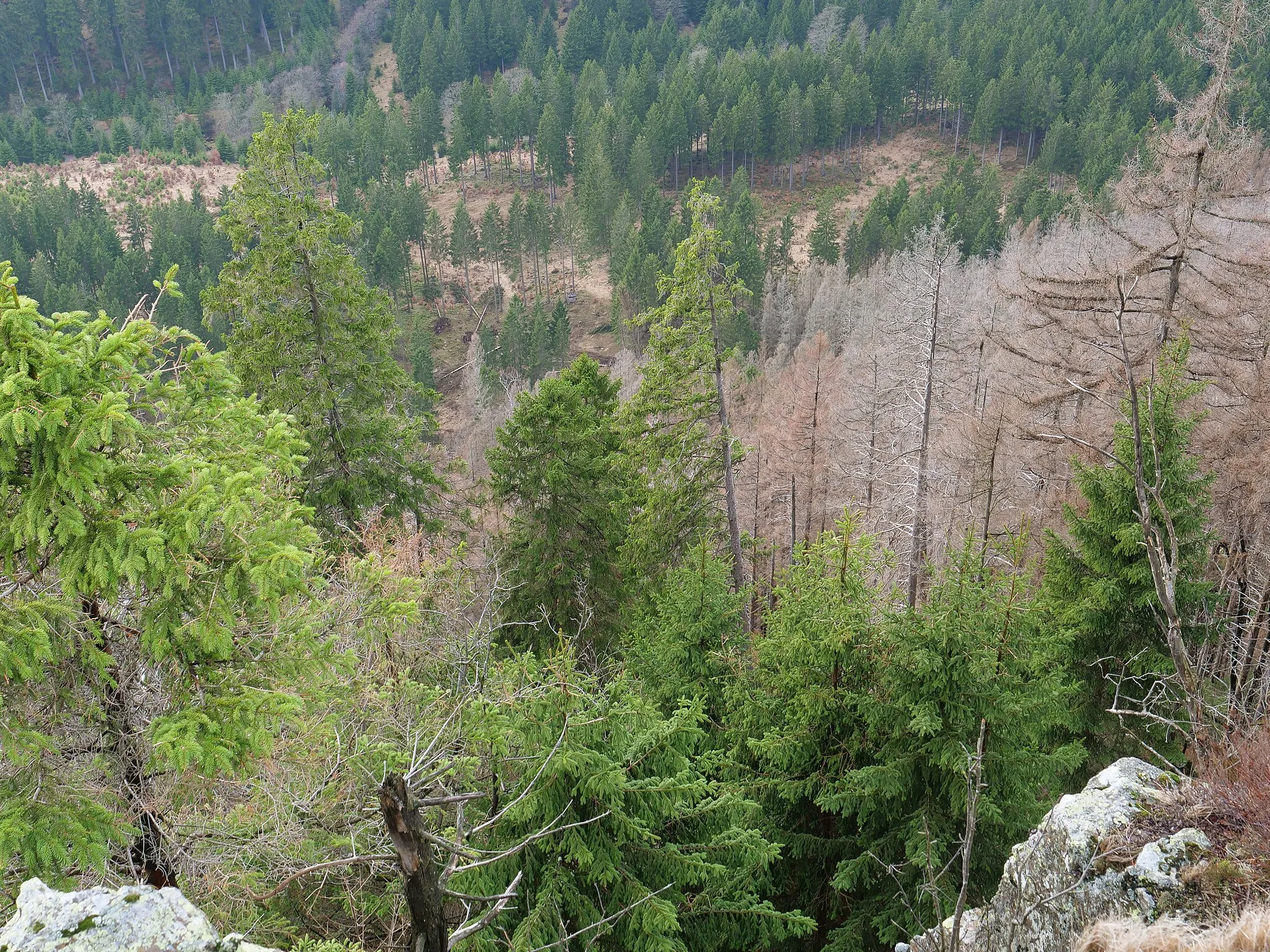 Photo showing: Blick von den Hahnenkleeklippen.