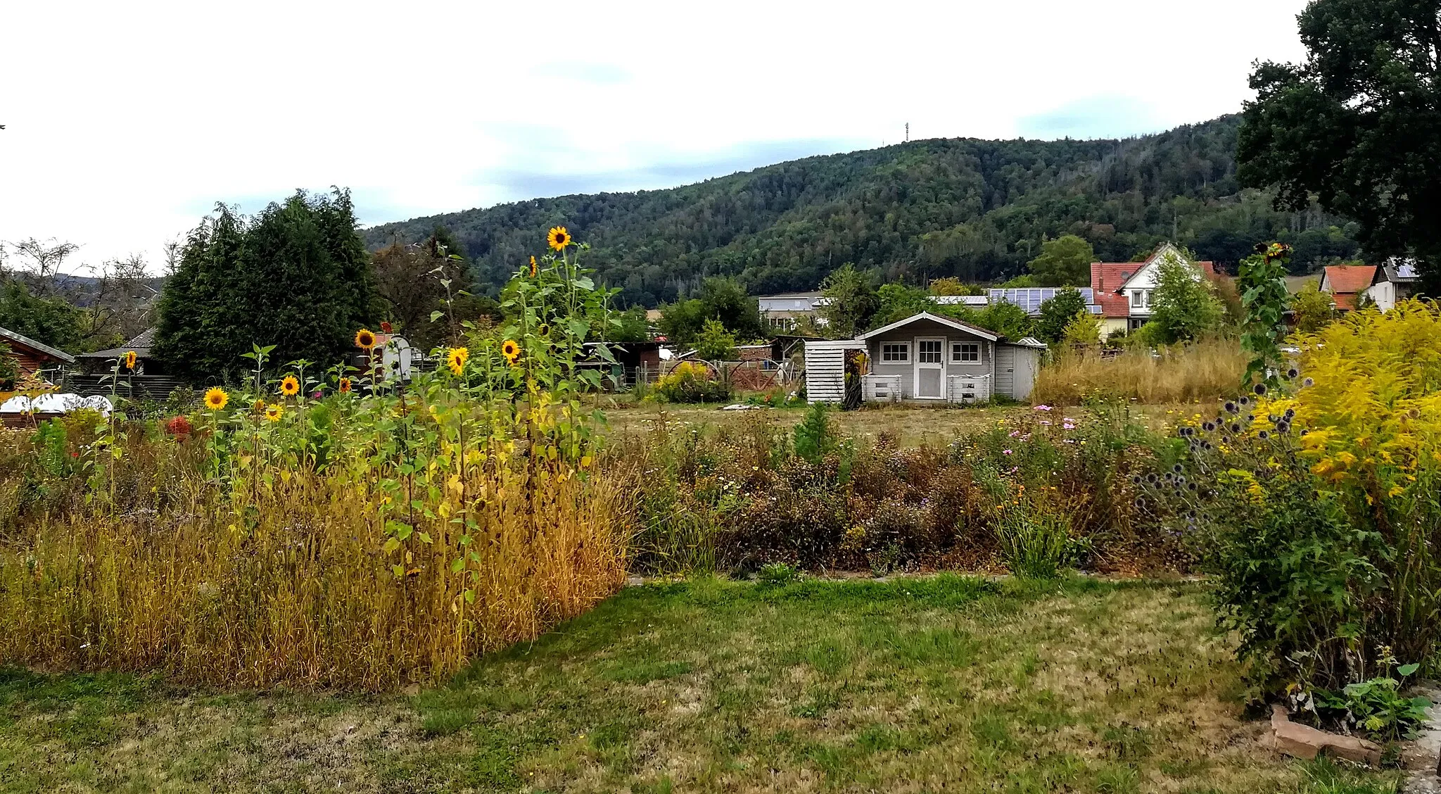 Photo showing: Gärten in Oedelsheim / Wesertal, Fußgängerweg "Am Hallenbad". Im Hintergrund der Bramwald.