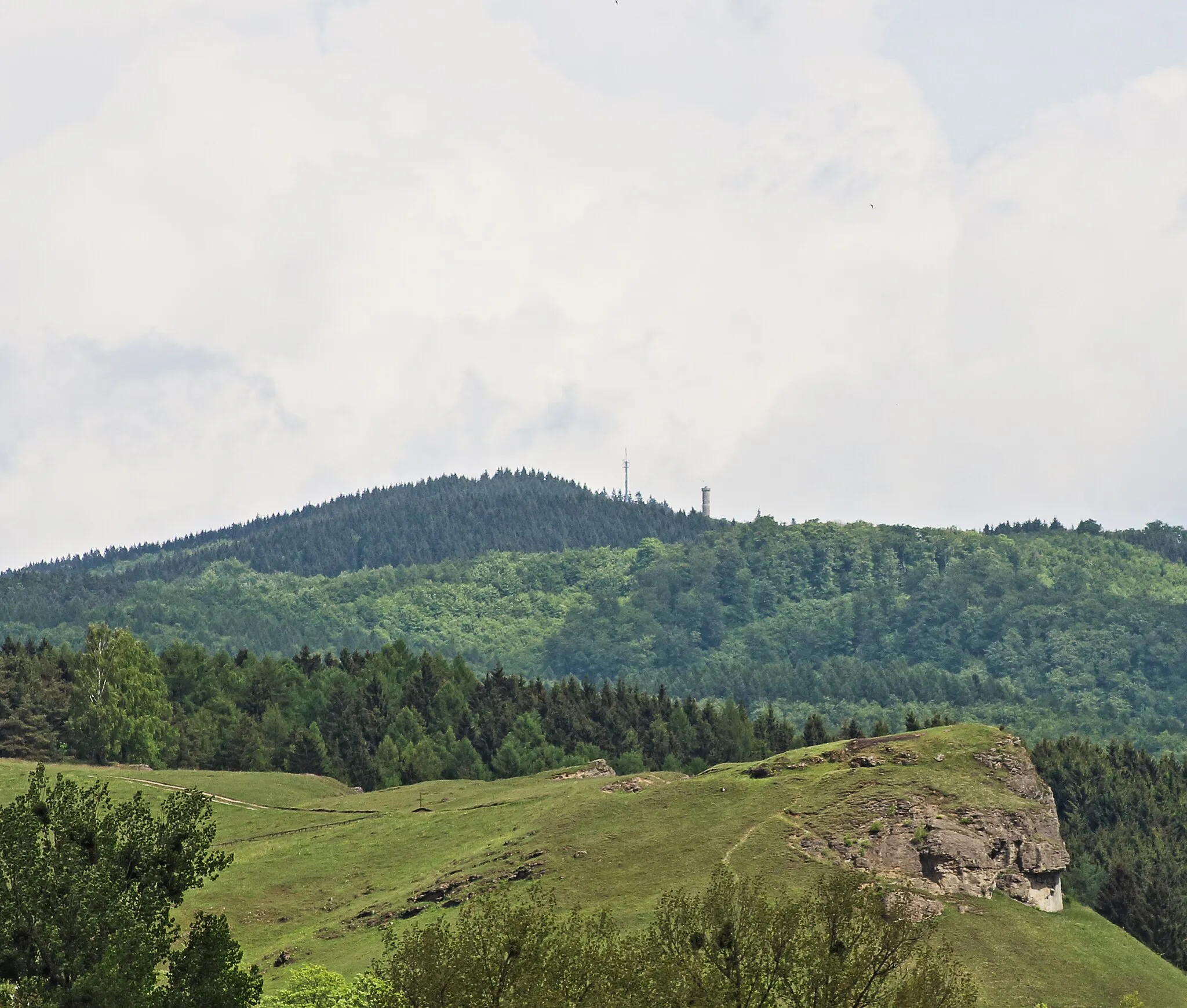 Photo showing: Naturschutzgebiet BR 078 „Steinberg“ Landkreis Osterode am Harz