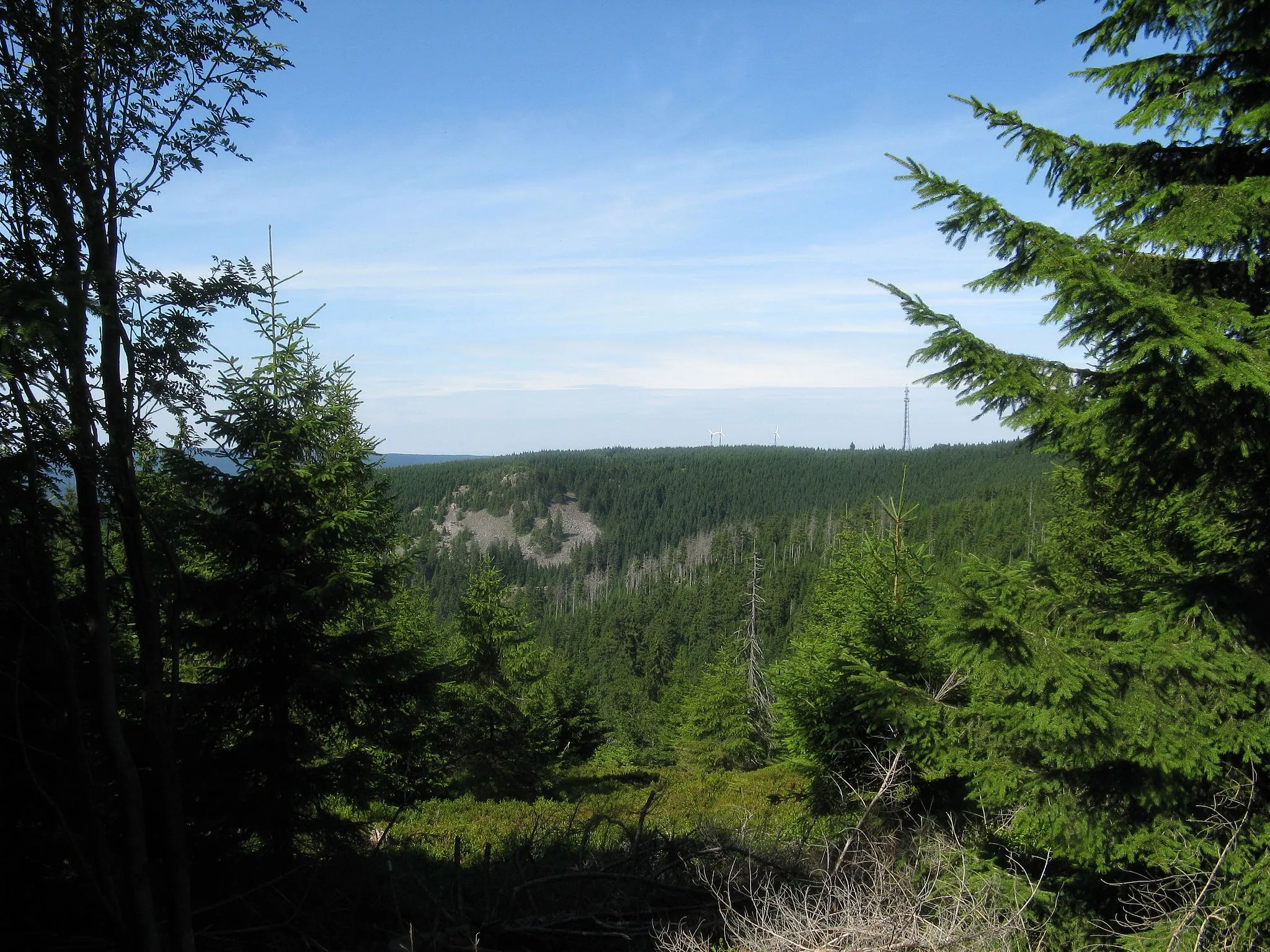 Photo showing: Hammerstein-Klippen auf dem Acker