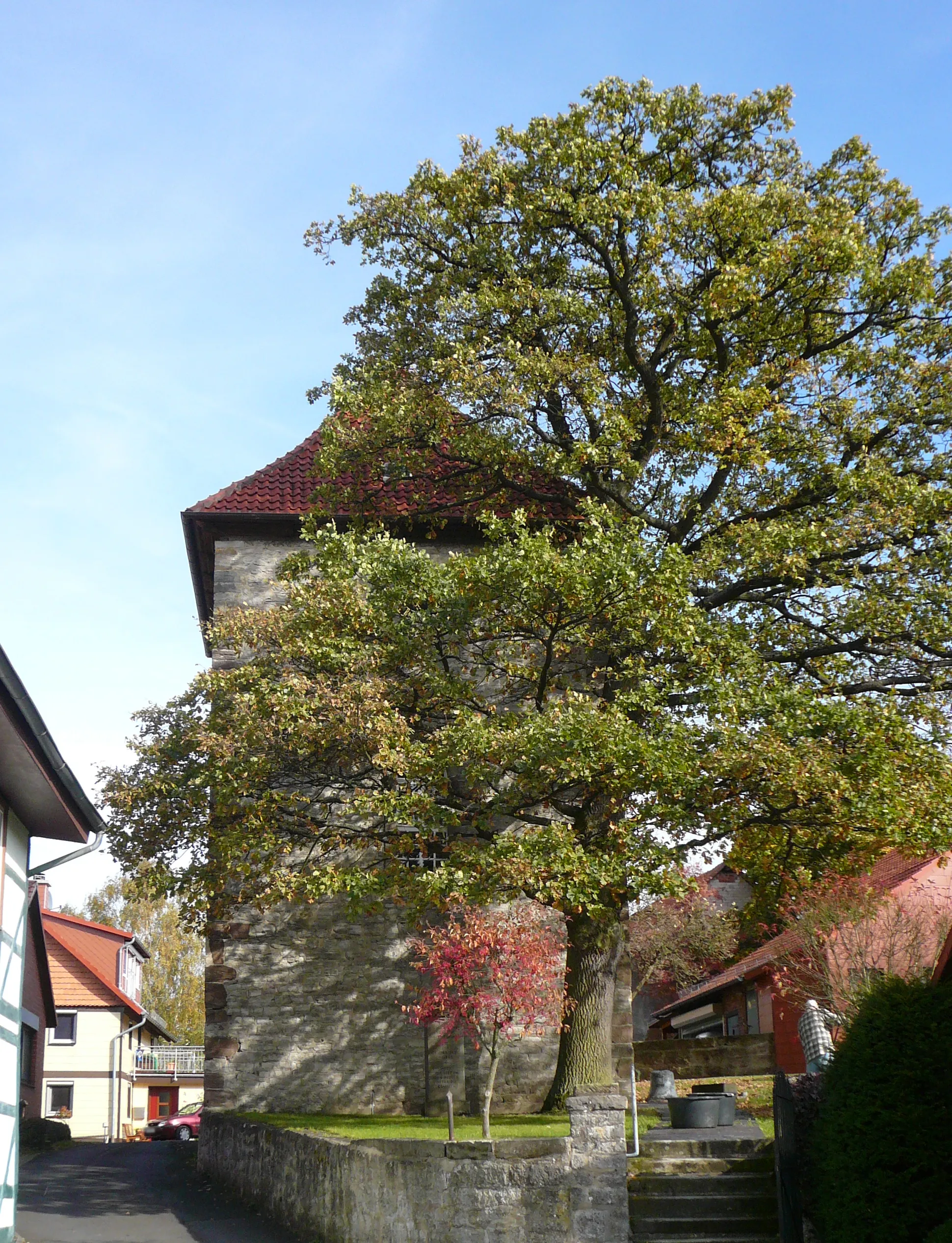 Photo showing: Eiche vor der Katharinenkirche in Knutbühren, Stadt Göttingen, Südniedersachsen. Naturdenkmal GÖ-S 00077