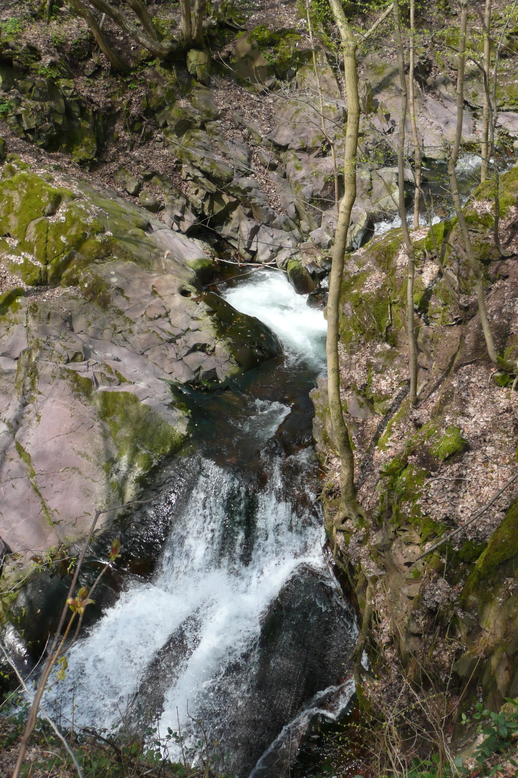 Photo showing: Der Lonau-Wasserfall in Herzberg am Harz