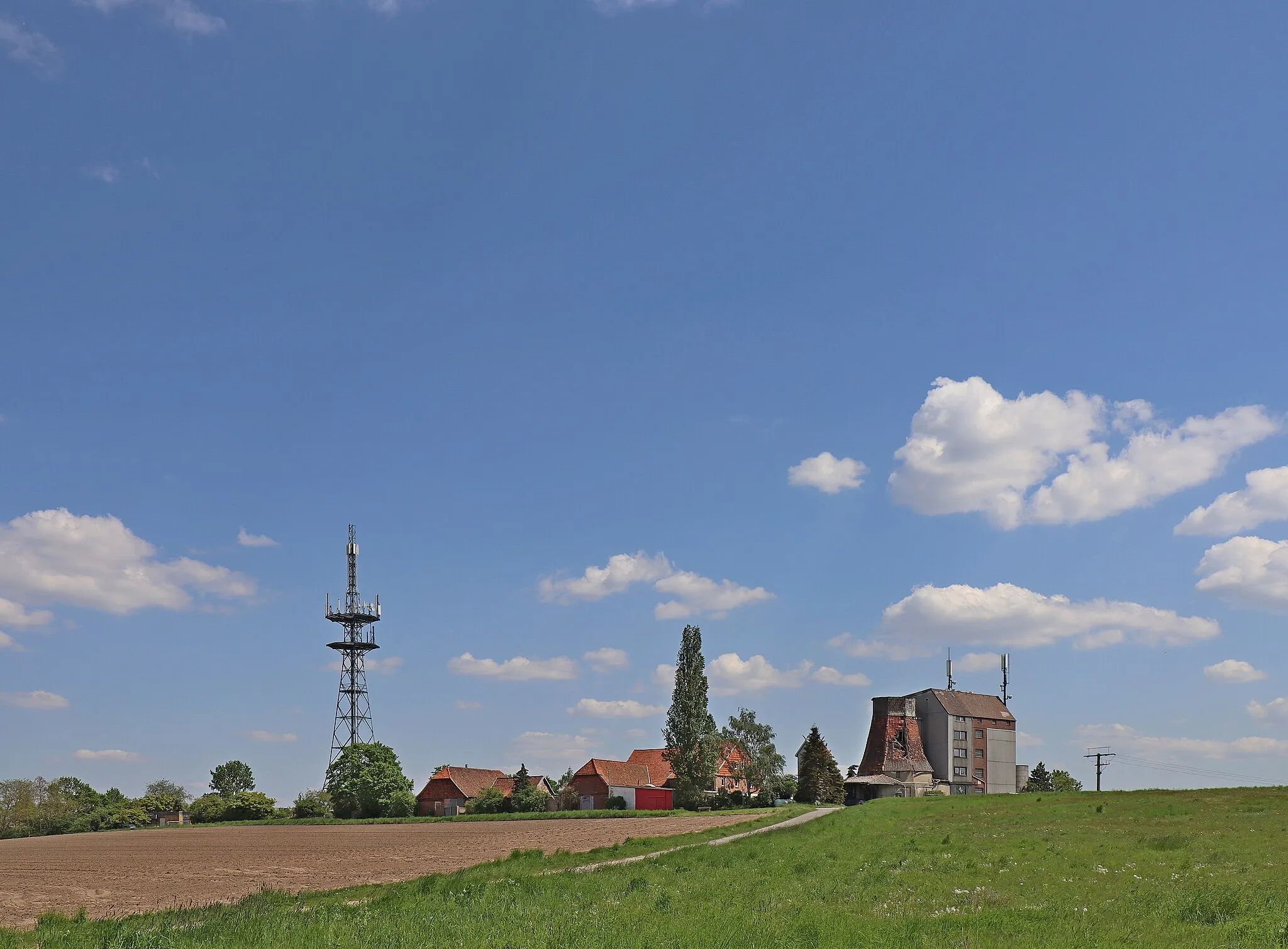 Photo showing: Die Metzingsche Mühle steht auf einem Hügel östlich von Stederdorf. Es ist ein Komplex mit der stillgelegten Motormühle, den Siloanlagen, der verfallenden Windmühle und Wohngebäude. Nördlich befindet sich der Fernmeldeturm. Die Windmühle wurde Ende des 19. Jahrhunderts erbaut. Im Jahr 1904 kaufte der Müller Erich Metzing die Windmühle und wahrscheinlich. Seit der Umrüstung, wahrscheinlich im Jahr 1937 war sie als Motormühle ohne Flügel in Betrieb. 1960 wurde das südliche Gebäude der neuen Motormühle an die ehemalige Windmühle angebaut.  In der neuen Motormühle waren 4 Doppelwalzenstühle und eine Schrotmühle bis in die 1990er Jahre im Einsatz.
Das Foto entstand am Weg Zur Metzingschen Mühle, der von der Umgehungsstraße K75 zur Mühle und zum Fernmeldeturm führt. Rechts außerhalb des Bildes befindet sich die Autobahn A2 (Braunschweig-Hannover).